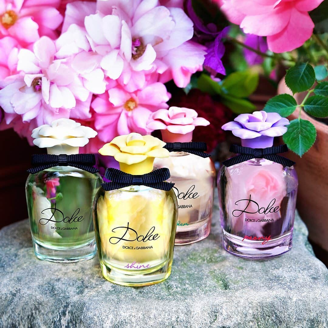 ドルチェ&ガッバーナさんのインスタグラム写真 - (ドルチェ&ガッバーナInstagram)「⁣The new Dolce Shine fragrance joins the Dolce collection, adding a sunny yellow colour to the joyful family of floral scents.⠀ ⠀ #DGDolceShine #DGDolce #DGDolceGarden #DGDolcePeony #DolceGabbana #ShineYourLight #DGBeauty」6月26日 18時03分 - dolcegabbana