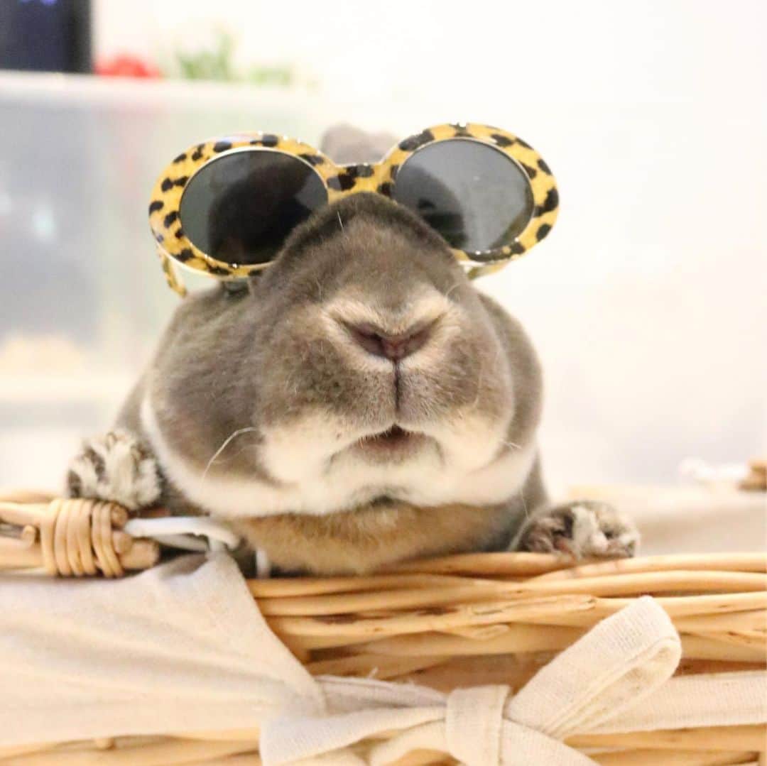 Kayoのインスタグラム：「😎俺んとこ、来ないか？ 一緒に明日葉ワンナイトカーニバルしよぜ！」