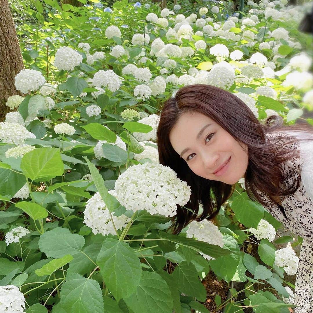 鈴木芳奈のインスタグラム：「「あじさいとわたし」part2  #紫陽花 #あじさいの季節 #あじさい園 #あじさいとわたし だよ #あざといわたし じゃないよ　#あざといわたし写真もあげてみようかな 😏」