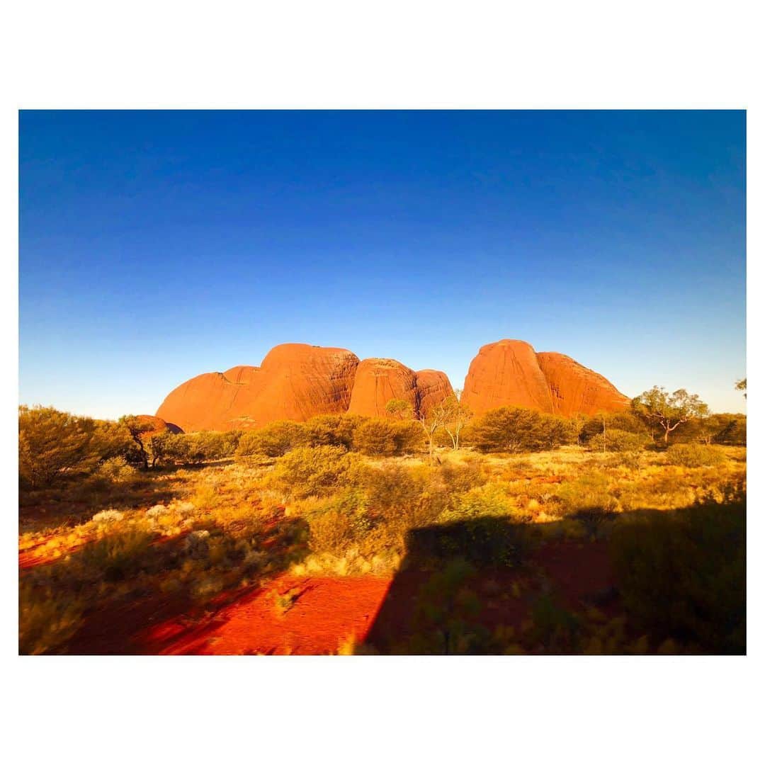 日向カンナさんのインスタグラム写真 - (日向カンナInstagram)「オーストラリアのカタジュタ〜🇦🇺 私の大好きなジブリ映画「風の谷のナウシカ」の風の谷は、ここの場所だと言われています〜☺️✨✨ 山の形が遠くから見ると、オームの群れに見えるのは私だけかな🍀？ ・ オーストラリアに行ったら絶対ここに来たいと考えていたので、去年夢を１つ叶えましたぞぉ🤗❗️ ・ ジブリ映画、映画館上映始まりましたね〜✨✨✨ 皆さんのコメントでは、もののけ姫が好きな方が多かったですね❗️ 私は魔女の宅急便の実写の場所も、絶対いつか訪れたいと思っていつも観ています💪🏻✨✨ ・ 映画館で昔の映画が上映される企画が幾つか始まっていて、私もワクワクしてます🙌🏻! だって、映画館で観たかったのに観れなかったものも多いので、これはとっても嬉しい企画です😄‼️ ・ 久しぶりに映画館行ける日が待ち遠しいなぁ😉🌷最近映画観れてないから、何か観たい今日この頃♪ ・ #風の谷のナウシカ #ジブリ #ジブリの世界 #風の谷 #カタジュタ #オーストラリア #旅 #過去pic #旅行 #旅行好き #世界 #世界の絶景 #世界一周 #写真好き #カメラ女子 #カメラのある生活 #旅行記 #自然が好き #景色 #アウトドア #スポーツ女子 #写真加工 #映画好きな人と繋がりたい #映画 #映画好き #旅好き #旅行行きたい #australia #綺麗な景色 #オススメ」6月26日 20時00分 - kanna_hinata