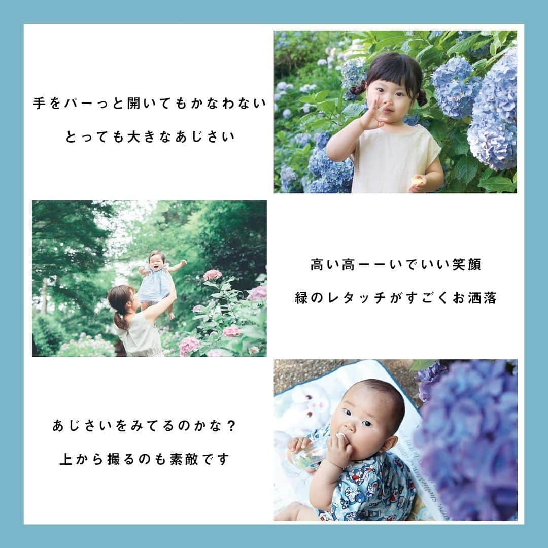 フォトリ Magazineさんのインスタグラム写真 - (フォトリ MagazineInstagram)「. 現在開催中のあじさいフォトコンテストにご参加頂いている方をご紹介！！🌱 . . どのお写真もとっても素敵で、いつも見ていて癒されています☺️ プレゼントの当選は厳正なる抽選のもと行います。 当選者の方には7/1にDMにてご連絡いたします！！☀️ . 6/30まで開催中です！！ まだの方はお早めに！！👍🏻 もちろん、外になかなか出れないと思うのであじさい以外のお写真でも大丈夫です◎ . 詳細は前の投稿をご覧ください🤲🏻 . .  #フォトリ #おうち時間 #子供のいる暮らし #webサイト #ママリ #コドモノカラダ #ベビフル #ベビリトル #男の子ママ #女の子ママ #あじさいフォトリコンテスト #その瞬間に物語を #幸せな瞬間をもっと世界に #カップルフォト #親バカ部 #関東ママ #関西ママ #新米ママ #編集テクニック #おうち時間 #マタニティフォト#ママ撮 #プレママ #紫陽花 #ファインダー越しの私の世界 #親バカ #写真好きの人とつながりたい #ポートレート #0歳 #1歳」6月26日 20時13分 - photream_college