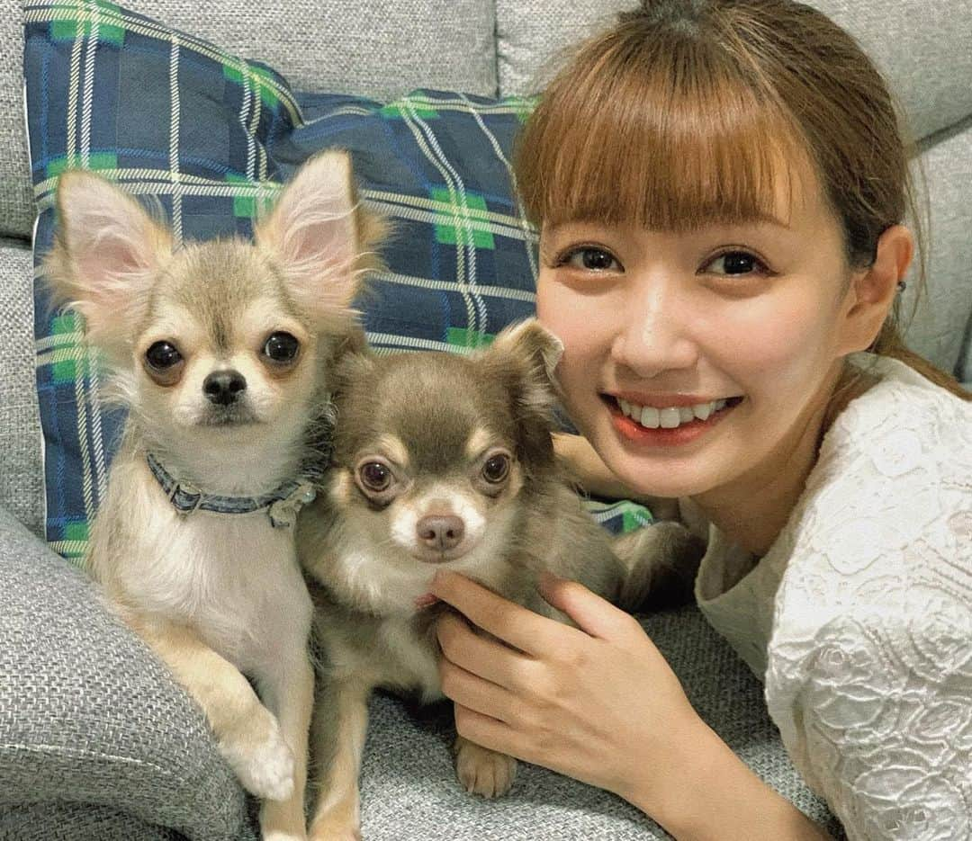 荻野可鈴さんのインスタグラム写真 - (荻野可鈴Instagram)「、 いぬ派です🐶 #お友達のチワワンズ #まーちゃん(右)てぃーちゃん(左) #さすがに顔小さすぎてワイの顔デカめ #必死にオヤツで目線を誘う主🧡 #ひたすら真顔で撮り続けるカメラマン💜 #インスタのお出かけ写真はほぼこの２人と行ってるやつだね #ふふふふふ　#友達少ね #いつも映え写真ありがとうございます #これからもお世話してもらう🥰」6月26日 20時17分 - karin_ogino