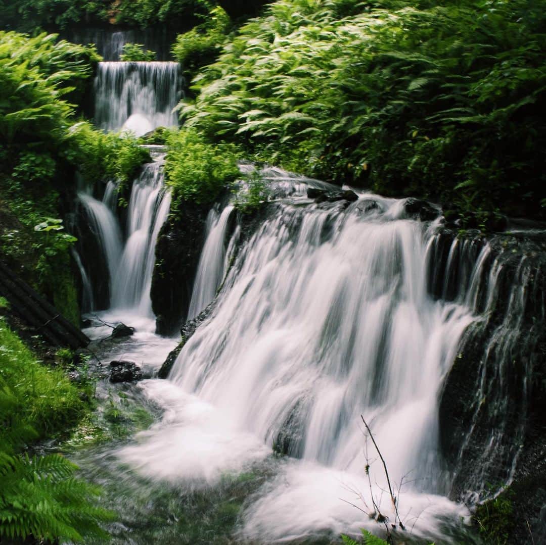 志摩マキさんのインスタグラム写真 - (志摩マキInstagram)「งื้อ😭　#❤️ #waterfall #japan #powerspot #パワースポット」6月26日 20時19分 - makishimaaa