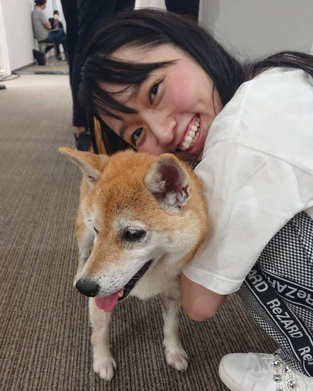 松浦景子さんのインスタグラム写真 - (松浦景子Instagram)「アキナの山名さんの愛犬、おまめちゃん  かわいすぎたよ  MBS局内めっちゃ走っててかわいかった  おとなしかったのに  途中わたしがバレリーナの格好したら  噛みつこうとしてきた  かわいい  チュチュ怖いんかな  ギャップ萌え  #おまめちゃん 年齢的には#おまめさん #アキナ #アキナ山名 さん #山名文和 さん #MBS#バズナマ#バズナイトナマー」6月26日 20時24分 - pinkpinks13