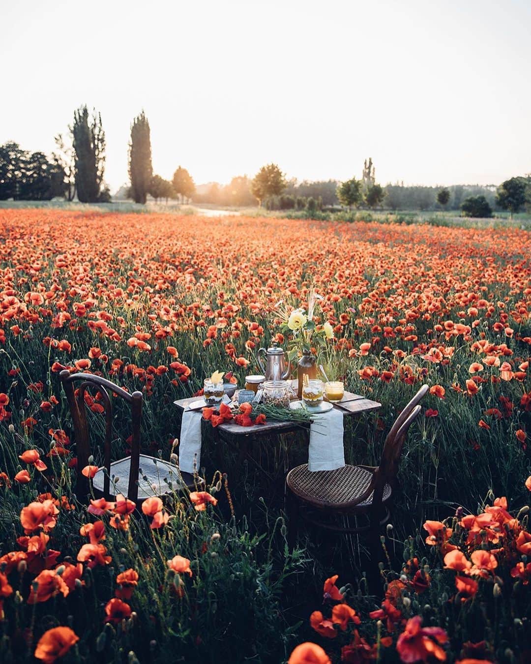 Our Food Storiesさんのインスタグラム写真 - (Our Food StoriesInstagram)「Love to see all the beautiful poppy fields in the countryside right now ✨ Get the recipe for our favorite gluten-free poppyseed granola on the blog, link is in profile 🥰 #ourfoodstories_countryside  ____ #glutenfreebaking #glutenfreerecipes #glutenfreebreakfast #glutenfri #glutenfrei #poppyflower #poppyfield #mohnblume #countrysidelife #countrysideliving #momentslikethis #fellowmag #simplejoys #foodstylist #foodphotographer #germanfoodblogger #gatheringslikethese #morningslikethese」6月26日 20時32分 - _foodstories_