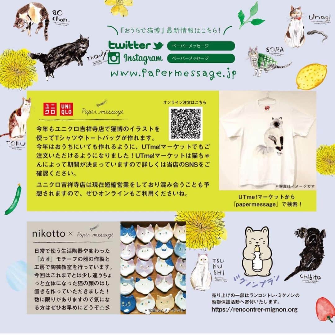 shigureさんのインスタグラム写真 - (shigureInstagram)「. @papermessage  @uchinonekohaku  #おうちで猫博  に雨音を選んでいただきました お友達もいっぱいいるにゃ💕 . おびやまち店では原画展示もあるそうです  お近くの方は是非是非💕 #ペーパーメッセージ #papermessage」6月26日 20時33分 - shigureamanehaha