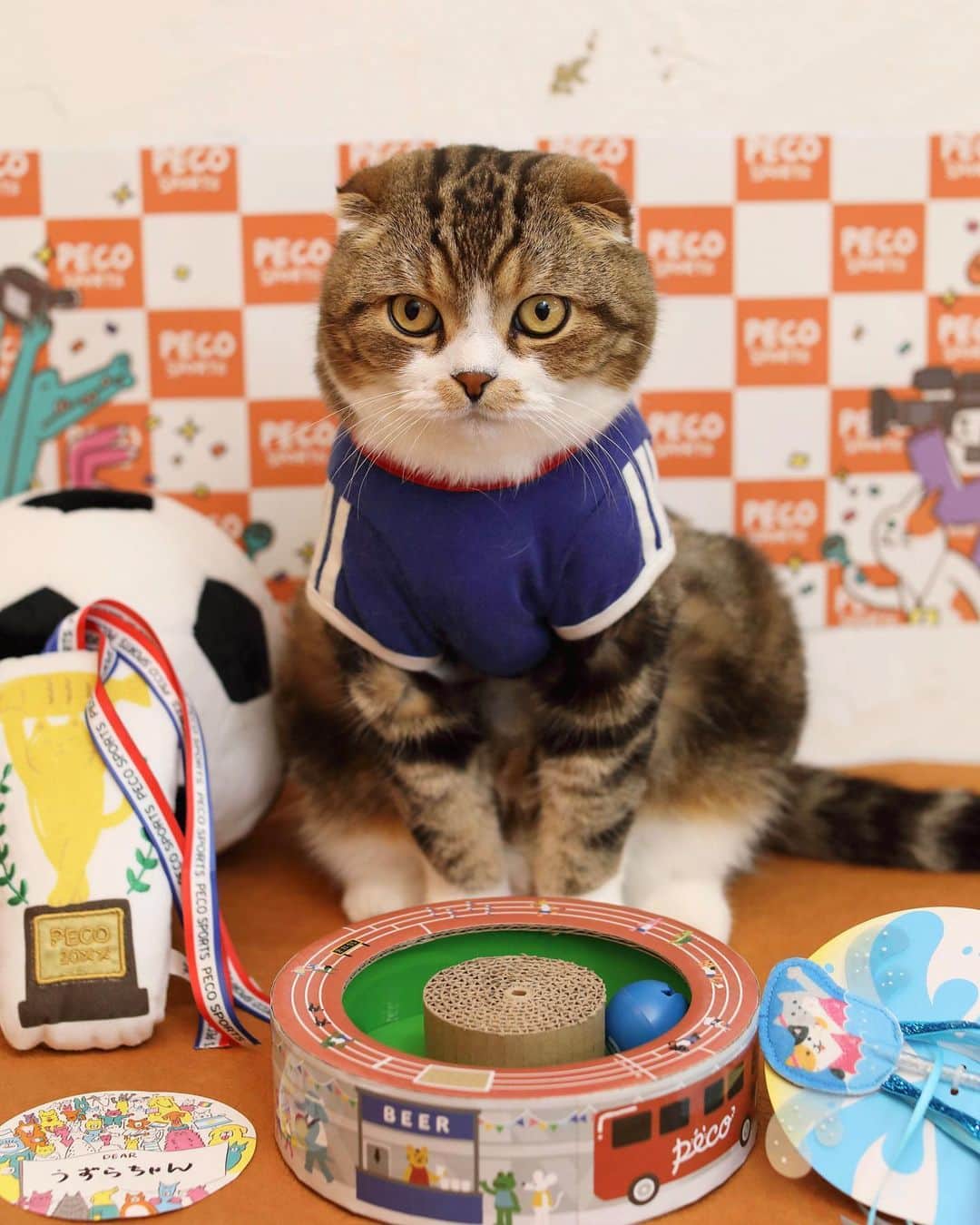 yayoi89のインスタグラム