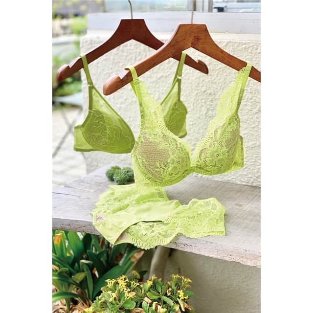 のインスタグラム：「🌴SUMMER SALE start‼︎ 🌴﻿ ﻿ 爽やかなピスタチオカラーが﻿ 夏の胸元を華やかに彩ります。﻿ ﻿ ﻿ ﻿ #chutintimates #lingerie #summer #sale #シュット #セール #ランジェリー #ピスタチオカラー #ドレスイージーブラ #ノンワイヤー #ノンワイヤーブラ #ブラジャー #レース#下着 #夏 #夏コーデ #ファッション #healthy #style #lady #fashion #lace #pistacchio #dress #easy #bra #instagram #instalike #instagood #intothewild」