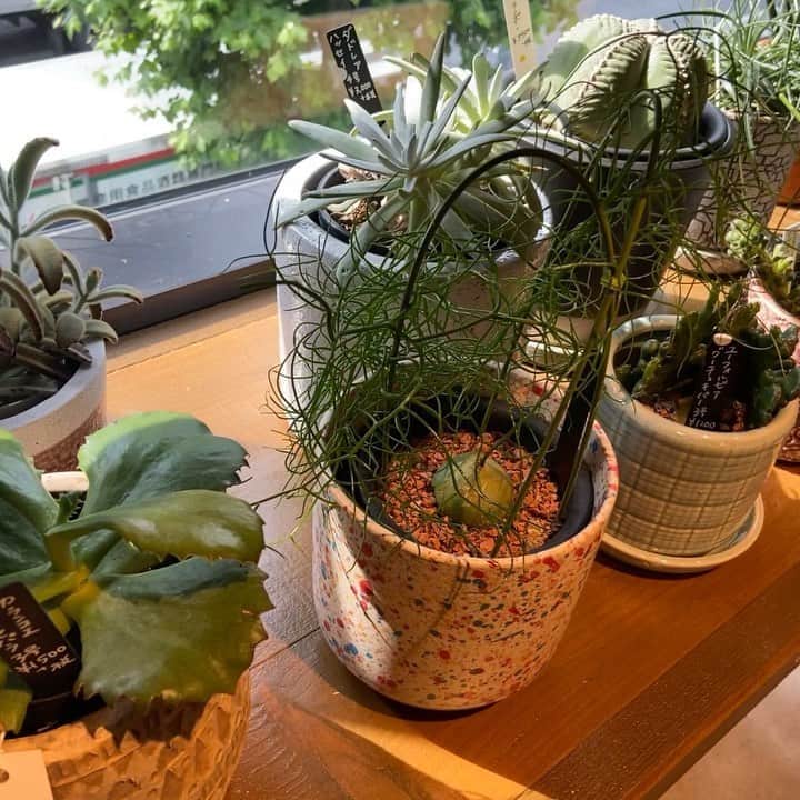 ニコアンドのグルメインスタ