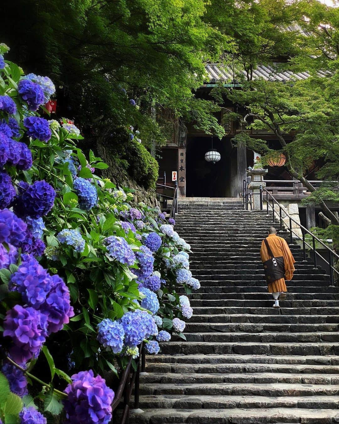 Koichiさんのインスタグラム写真 - (KoichiInstagram)「| 祈りの回廊 | Prayer corridor . #Hellofrom #Nara #BeautifulJapan #ShotOniPhone . #総本山長谷寺 #奈良 .」6月26日 20時55分 - koichi1717