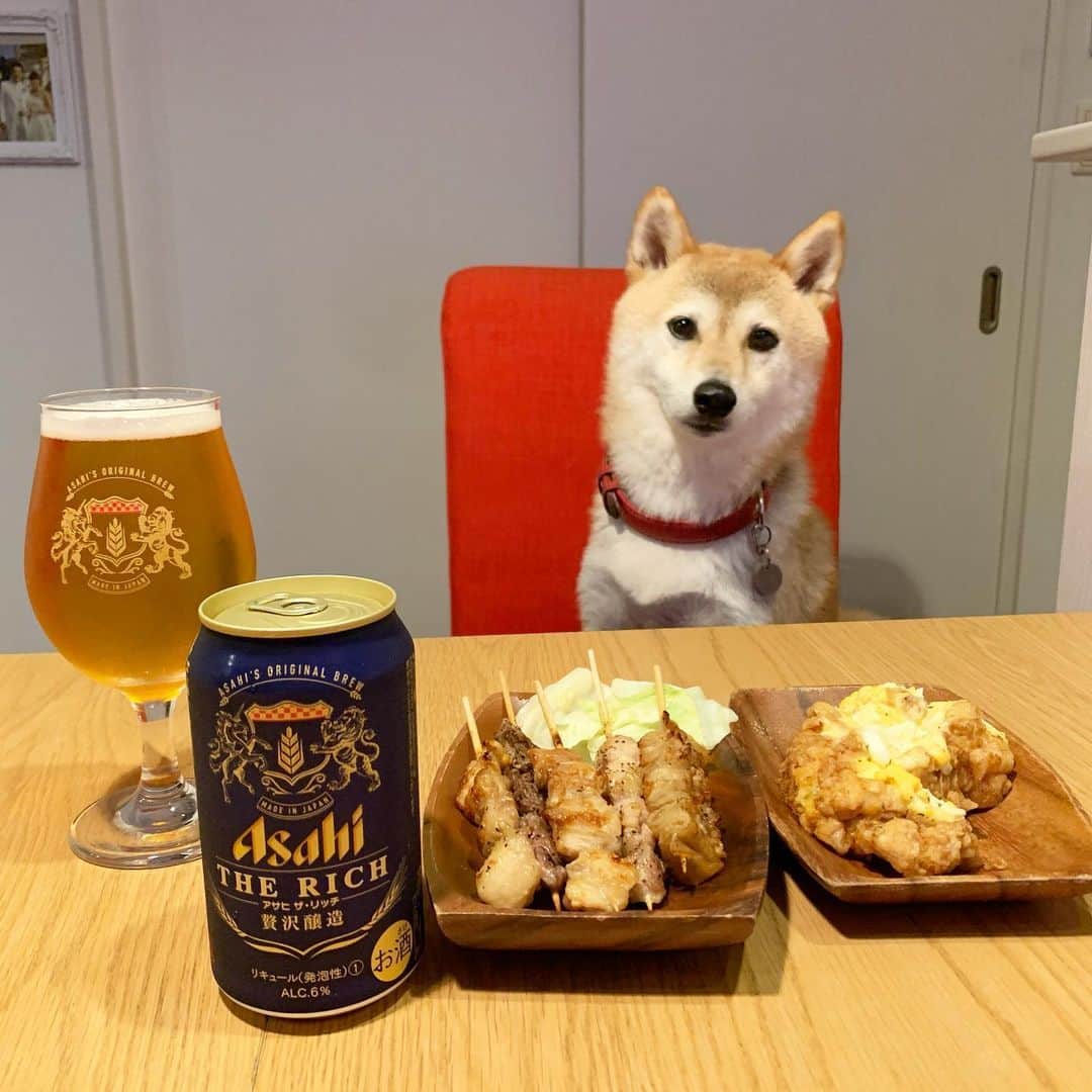 柴犬ハル&保護犬すずのグルメインスタ