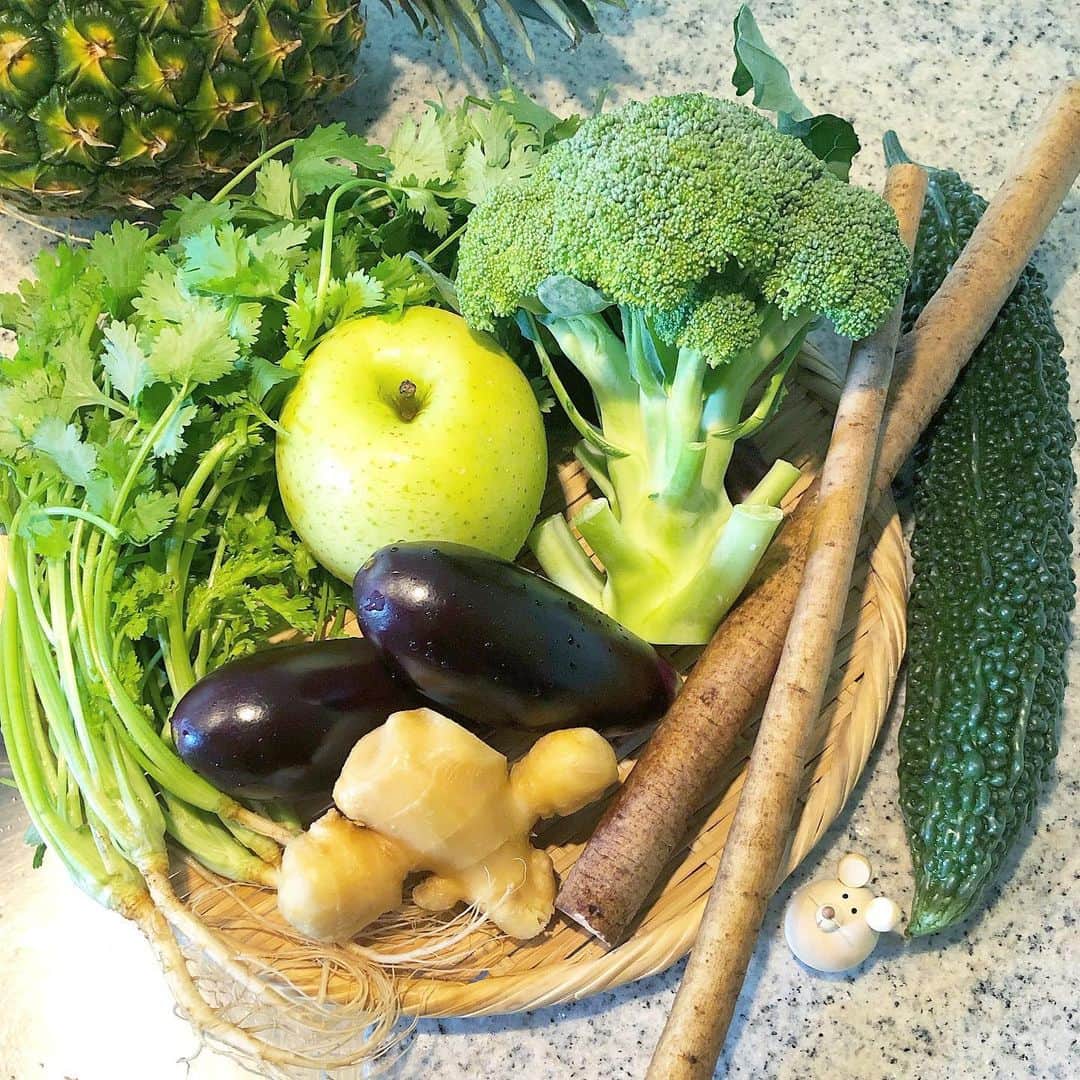 榊山敬代のインスタグラム：「🍏🍍🥦🍆🌿… ・ ・ きょうの午前は週に 一度の買い出しの巻  今回もパクチーゴーヤは 常連さんにて根菜類では ゴボウさんが新登場なり ちょっと盛りすぎたかナ  野菜を清めてならべて ながめていのちの鑑賞  さて今朝は食品ストアには 開店時間にいきましたけど やっぱり清々しくてイイな  焼き魚がマイブームなので いろいろな種類買いまして 一週間たのしみお家ごはん  今回では食品ストアにて とある女優さんがレジの 前にいましてカゴの中が 少し気になりますところ  遠目にのぞいてみましたら MOETのハーフサイズ一本 焼きそばの麺がみえまして  なんかいいなぁ…  チーズハムかとおもいきや 意外なセレクトにいやされ 最近焼きそば食べてないな  無性にとても焼きそばが 食べたくなったのでした ・ ・ #焼きそば食べたい #おうちごはん 満喫 #おうち大好き #enjoyhome ・ ・ ・ ・ ・ #夏  #ゴーヤ #パクチー #phakchi #お野菜 #fruits #vegetable #なす  #りんご #Apple #pineapple #broccoli #生姜 #Ginger #beautiful #おうち時間 #栄養補給#artist #kitchen #cooking #日本画家 の #お料理こんなもん　#green #ネズミちゃんを探せ」