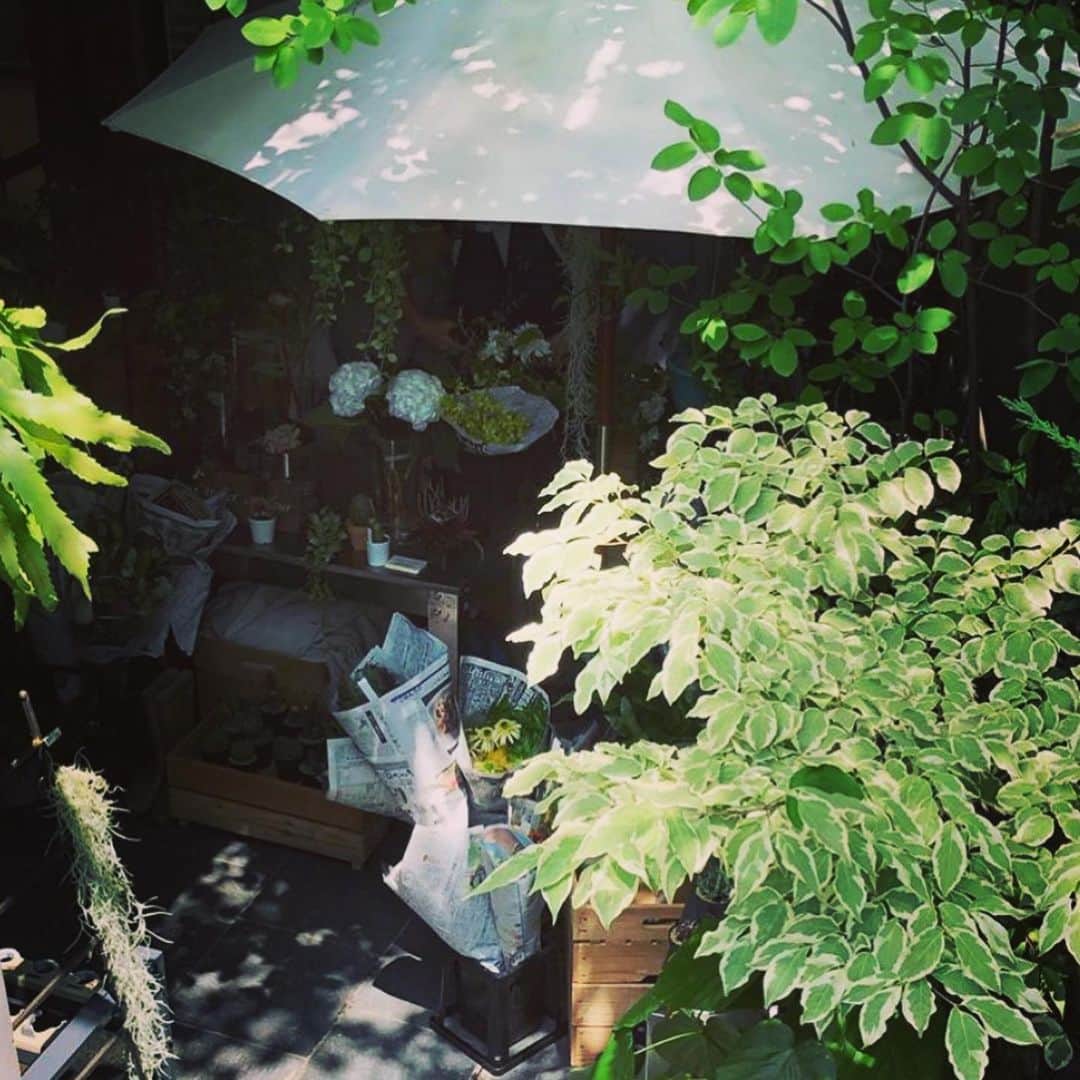 のインスタグラム：「@atelier_de_fleur  TWIGGY. 1Fのエントランスにて…  毎月3日間(6月は明日が最終日) アトリエフローの徳原さん のお花屋さんやっています。  #atelier de fleur #twiggytokyo #花屋 #エントランス #lifestylesalon #hairsalon」