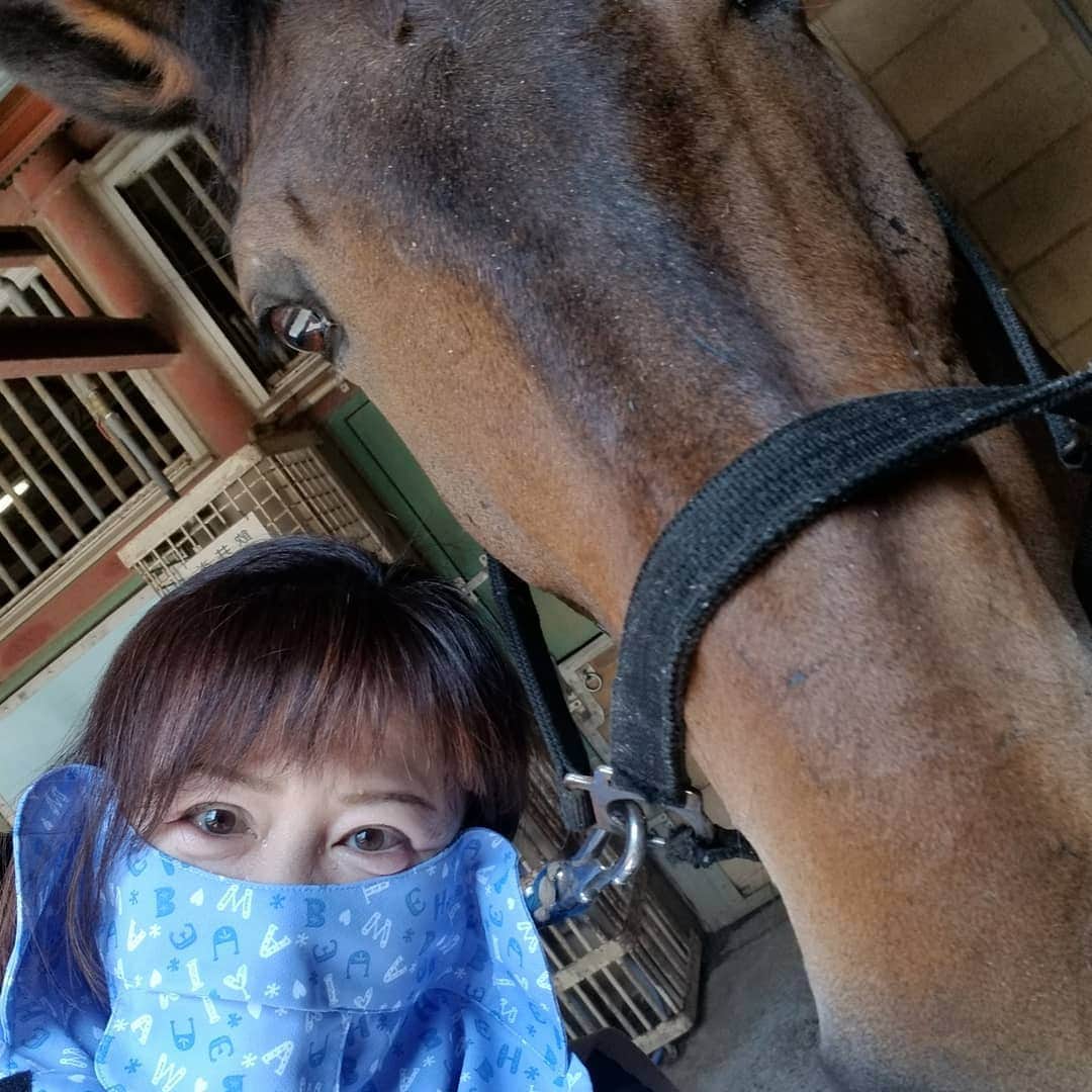 宇月田麻裕さんのインスタグラム写真 - (宇月田麻裕Instagram)「今日の相棒は、めっちゃ可愛い顔の　どんちゃん。　愛くるしい顔❤️　馬場では重い。なかなか思うようにいかず(^^ゞ　曇予報の予定でしたが、どぴんかん。晴れ☀️暑い！！熱中症になりかけたので、早く下馬。13時の騎乗は、人馬、そして先生には、酷な季節になってきました😱 最近は、なぜか馬のあとは、食欲なくなるのに、スタミナつけようと、鰻を食べなきゃ！となる。 今日は、新宿の登亭さん。先週は鰻徳さん。 #登亭#鰻徳#鰻登亭 #どん #東京乗馬倶楽部 #どんちゃん  #mahiroutsukita #宇月田麻裕」6月26日 21時30分 - mahiro_utsukita