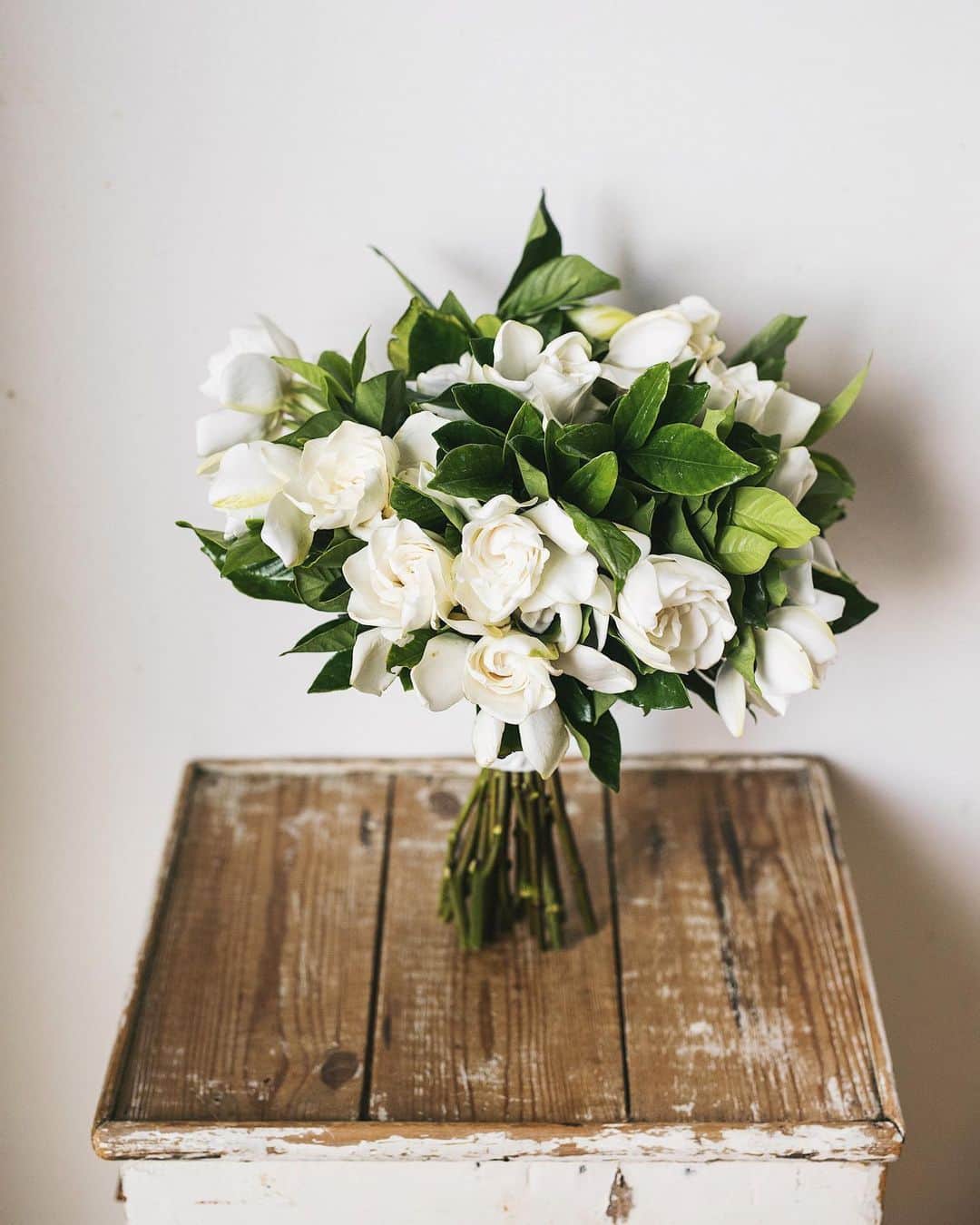 増田由希子さんのインスタグラム写真 - (増田由希子Instagram)「Just love fragrance of gardenias. 🌿 くちなしの花束 #bouquetofgardenias #gardenia #gardenias #bouquet #beautifulscent #くちなし　#花束 #ガーデニア」6月26日 22時12分 - nonihana_