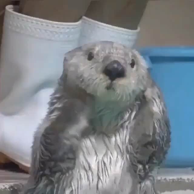 エイミー・セダリスのインスタグラム