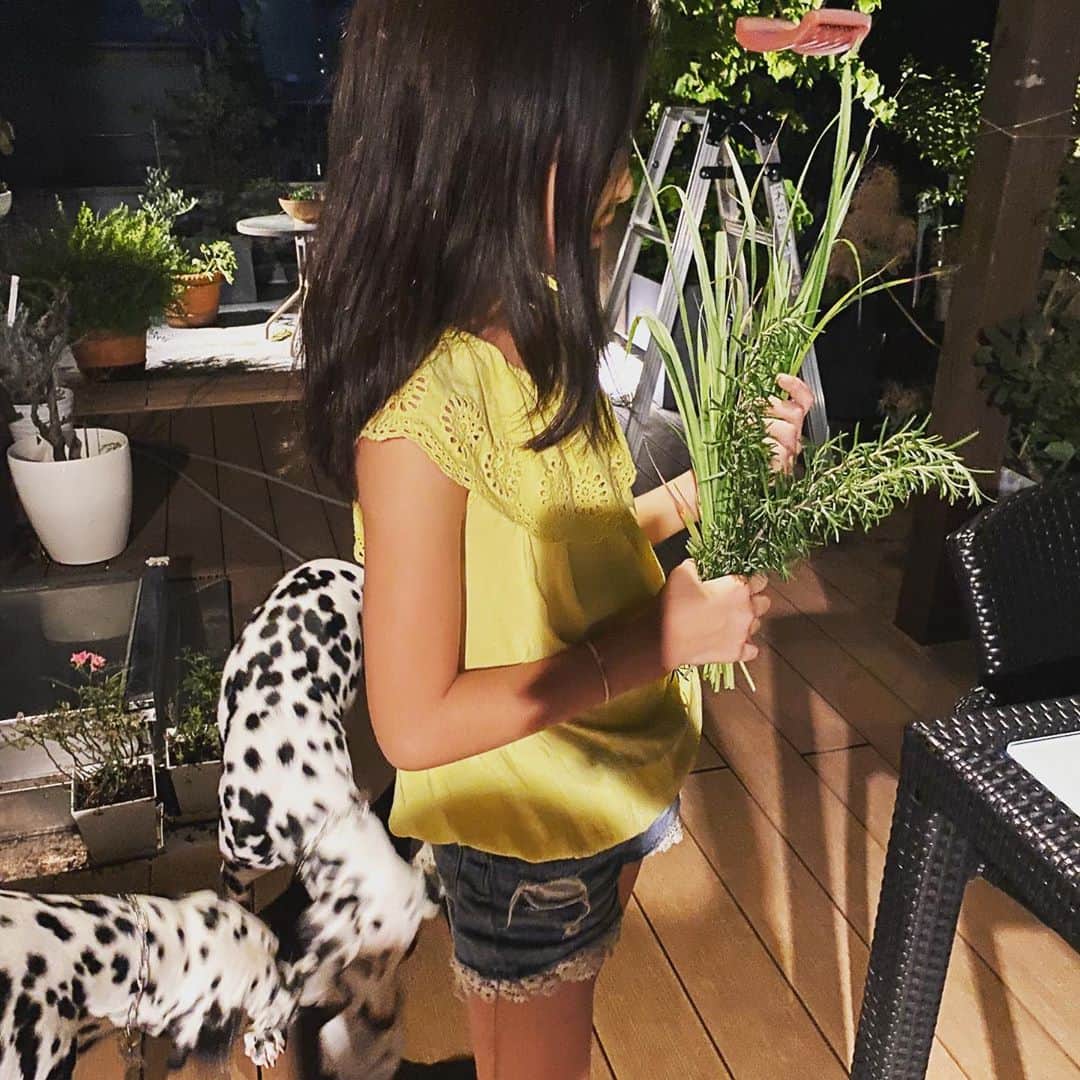 高岡早紀 さんのインスタグラム写真 - (高岡早紀 Instagram)「今夜は娘が摘んだ　"レモングラス"と"ローズマリー" を浮かべてスッキリバスタイム。。 ローズマリーの香りがベッドまで。。 おやすみなさい。  #早紀おウチガーデニング」6月26日 23時21分 - saki_takaoka