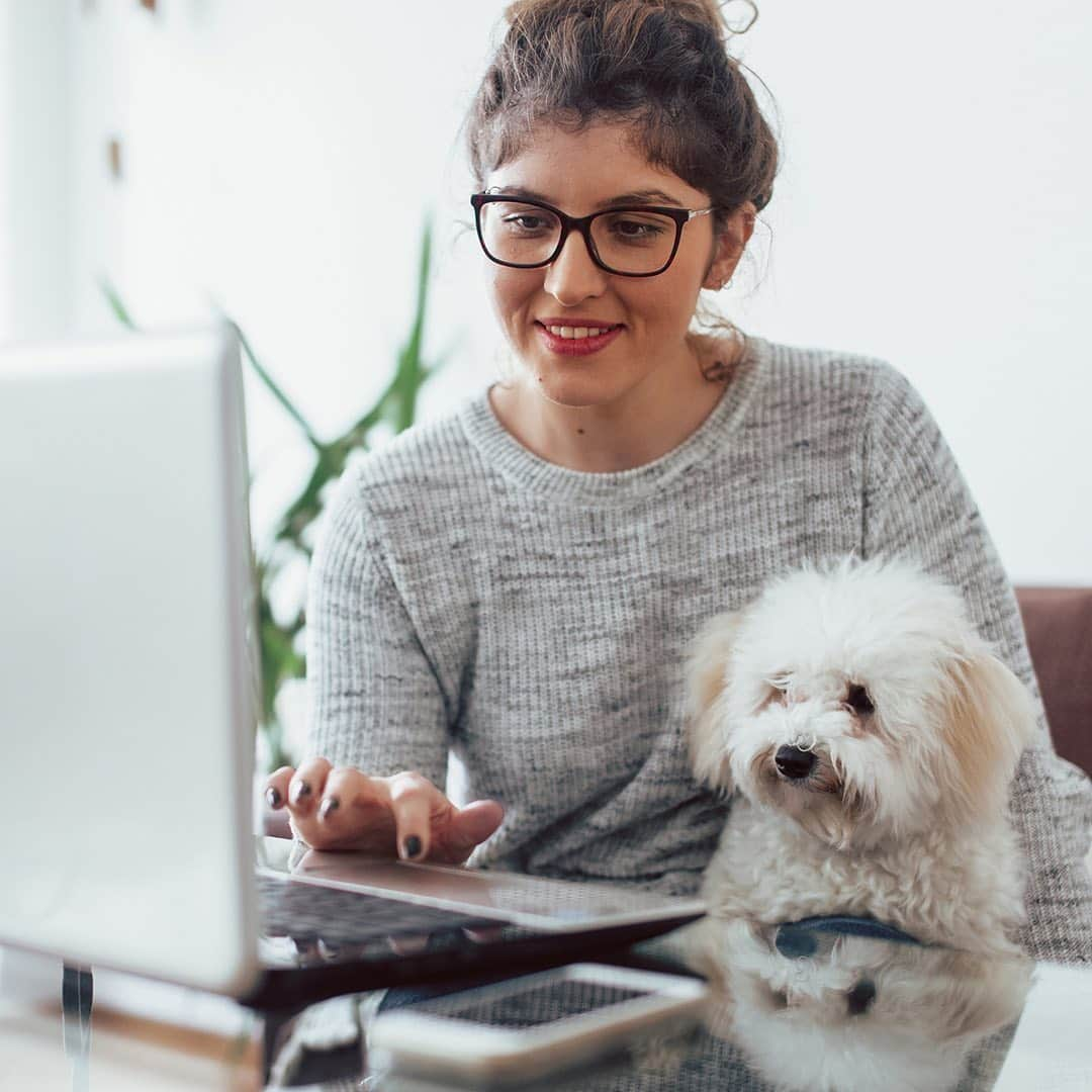 Candy Crushさんのインスタグラム写真 - (Candy CrushInstagram)「How many of you are currently working with a furry friend by your side?! 🐶  Show us how your pets are helping you at work today!  #TakeYourDogToWorkDay」6月26日 23時29分 - candycrushsaga