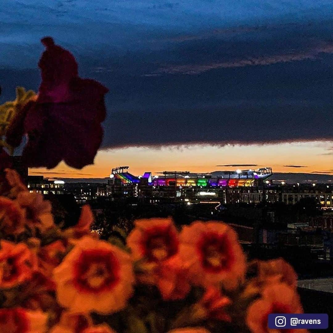 NFLさんのインスタグラム写真 - (NFLInstagram)「#NFLPride 🏳️‍🌈 (via @seahawks, @vikings, @hardrockstadium, @ravens, @gillettestadium)」6月26日 23時30分 - nfl