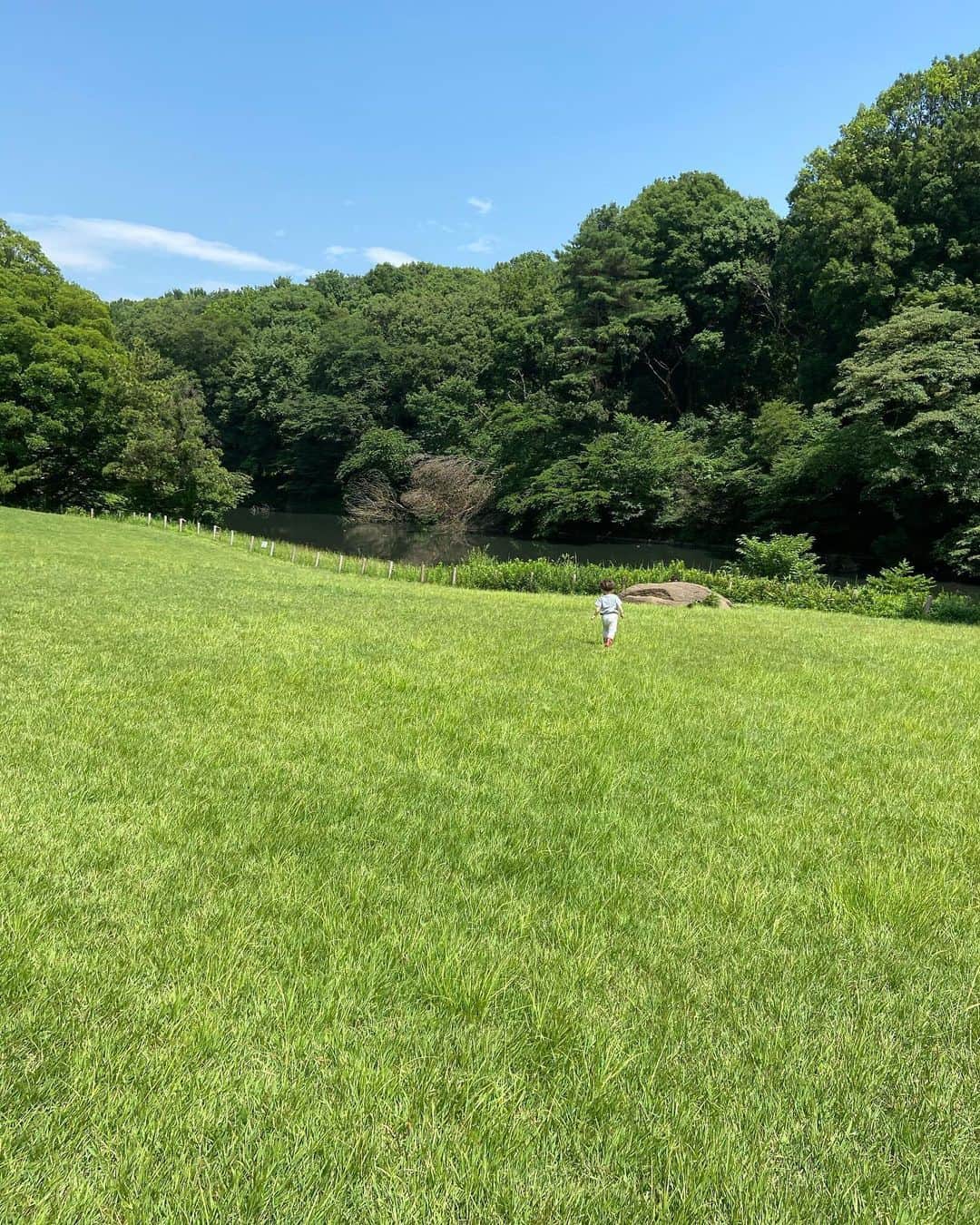 渡辺有子のインスタグラム：「晴れたら歩く。 歩いている間にモヤモヤしたものも晴れる、ね。」