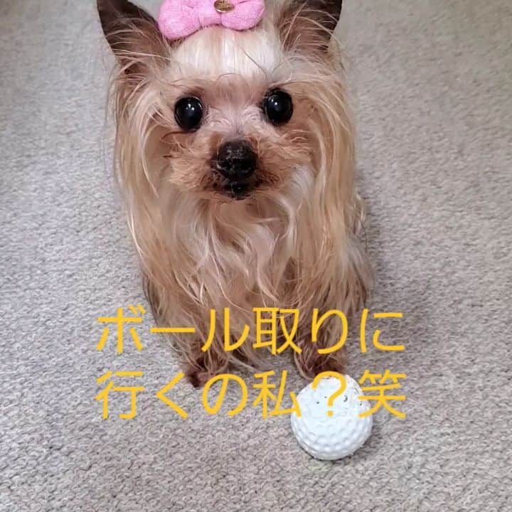 武東由美のインスタグラム
