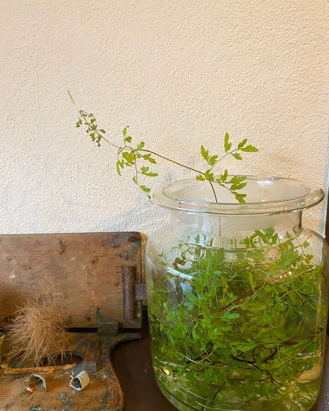 cafezakkagallery-flagのグルメインスタ