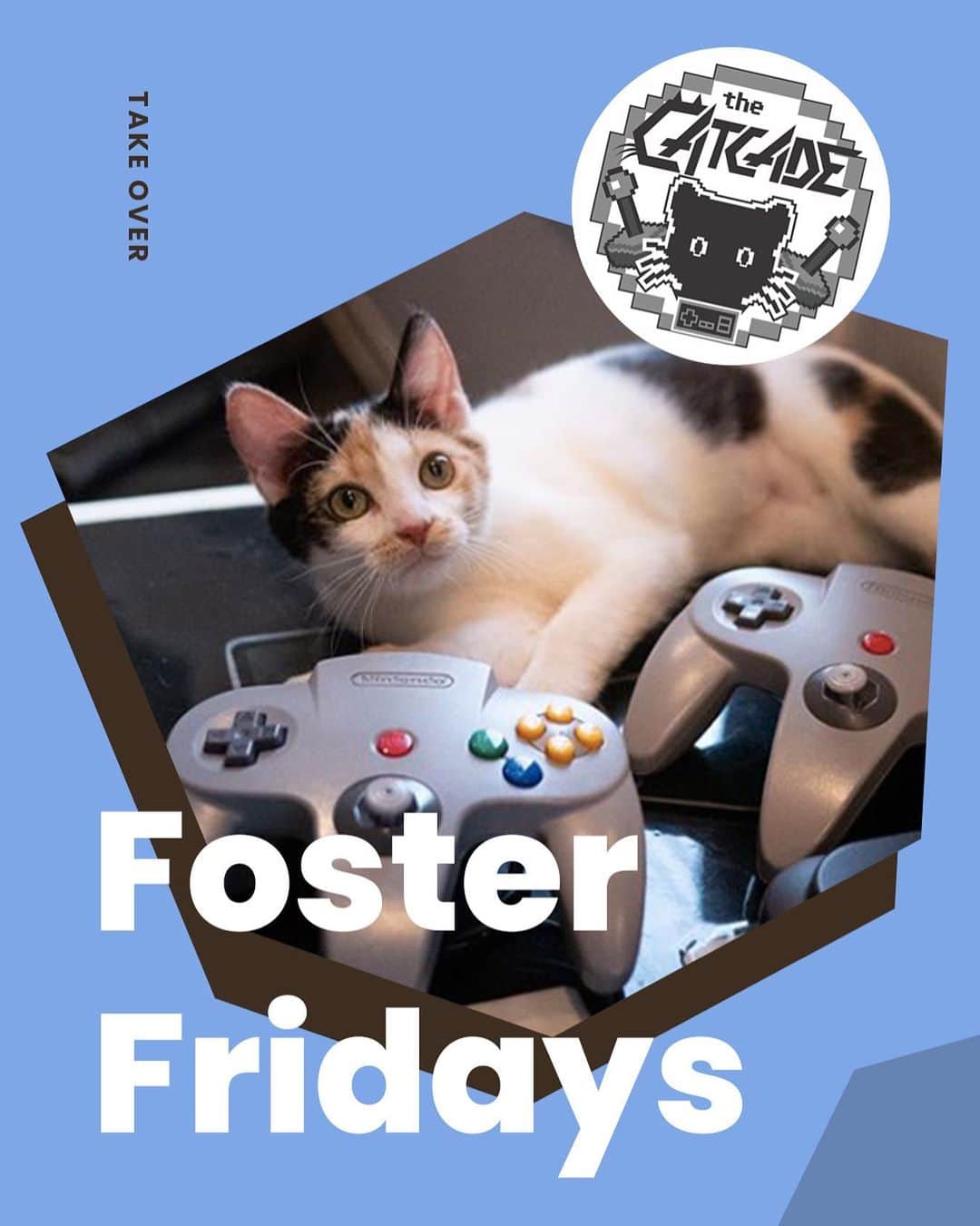 Cats of Instagramさんのインスタグラム写真 - (Cats of InstagramInstagram)「Today is #FosterFridays with @thecatcade! Climb on over to our stories to see how they’ve been able to continue to rescue cats even during quarantine. •••⁣ Every Friday, one of our favorite organizations takes over our Instagram stories! Please visit + follow their social to learn more.」6月27日 10時41分 - cats_of_instagram