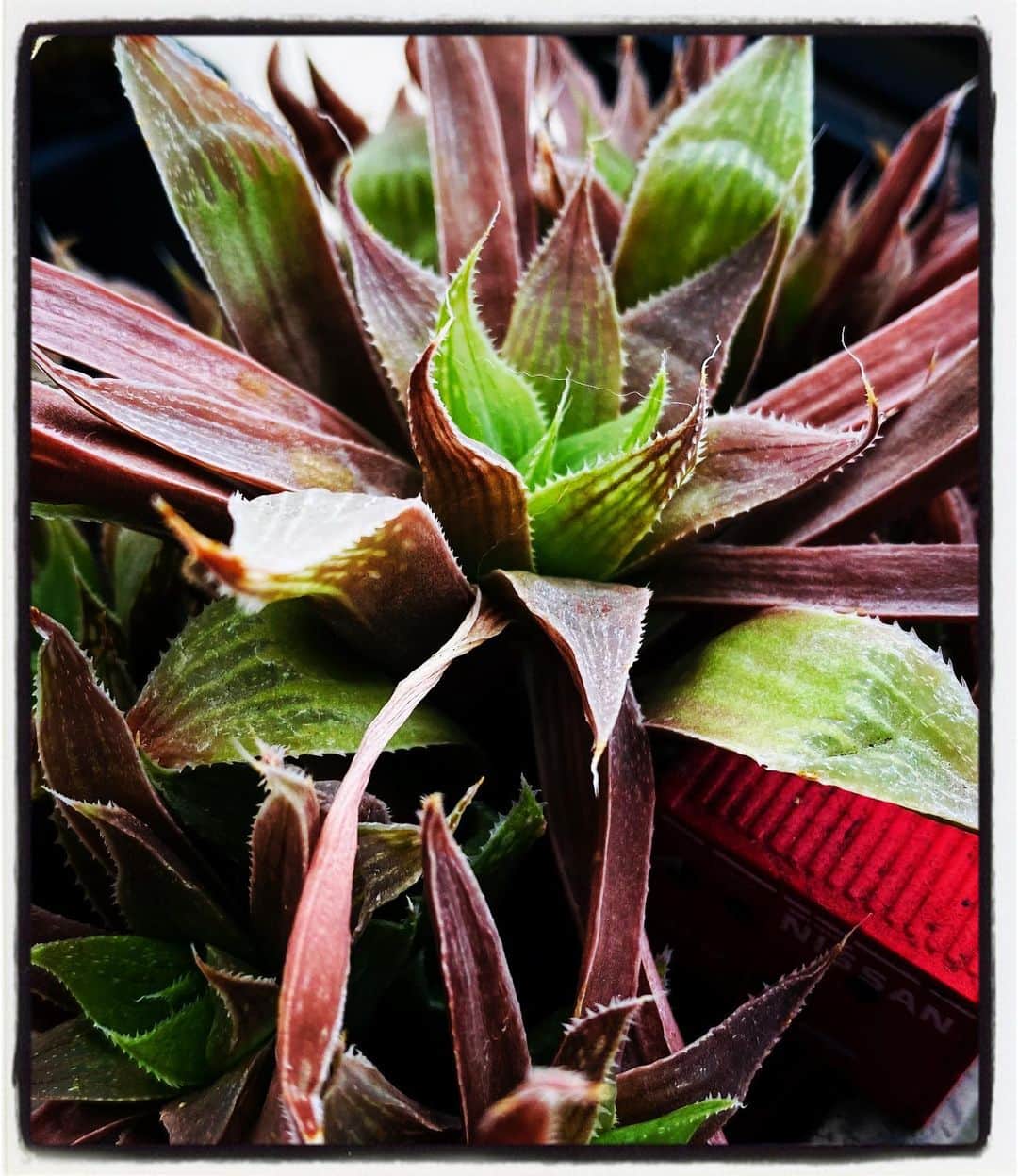 浅岡雄也のグルメインスタ