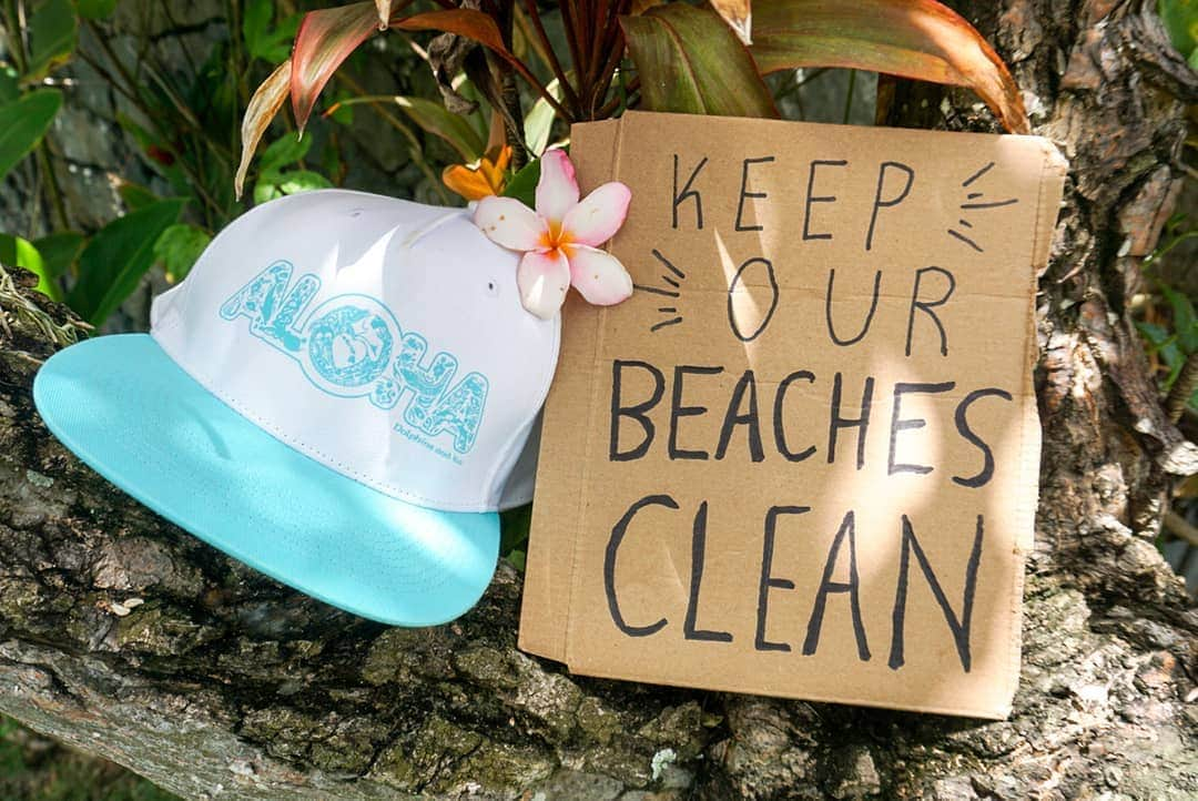 And Youさんのインスタグラム写真 - (And YouInstagram)「The Hawaiian words "malama 'aina" mean to care for and respect the land. When you visit Hawaii, please remember to never leave anything behind on trails, on beaches or in the ocean. Mahalo! ​. ​. ​. ​. ​. ​#keepouroceansclean #keepourbeachesclean #malamaaina #beautifulhawaii #hawaiinei #protecthawaii #ecolifestyle #environmentalism」6月27日 11時11分 - dolphinsandyou