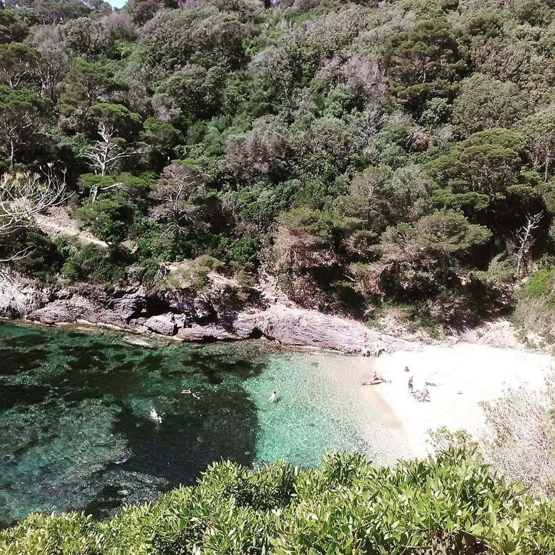 ロクシタンさんのインスタグラム写真 - (ロクシタンInstagram)「Only in Provence would a hike in nature lead you to beautiful hidden spots like this 🌿 Tag someone you'd like to go here with! ⁣ #Regram 📸 @bridgitte73 #LOccitane #Provence #NaturalBeauty #PresquiledeGiens #Hiking #Hyeres #Var #visitsouthoffrance」6月27日 3時00分 - loccitane