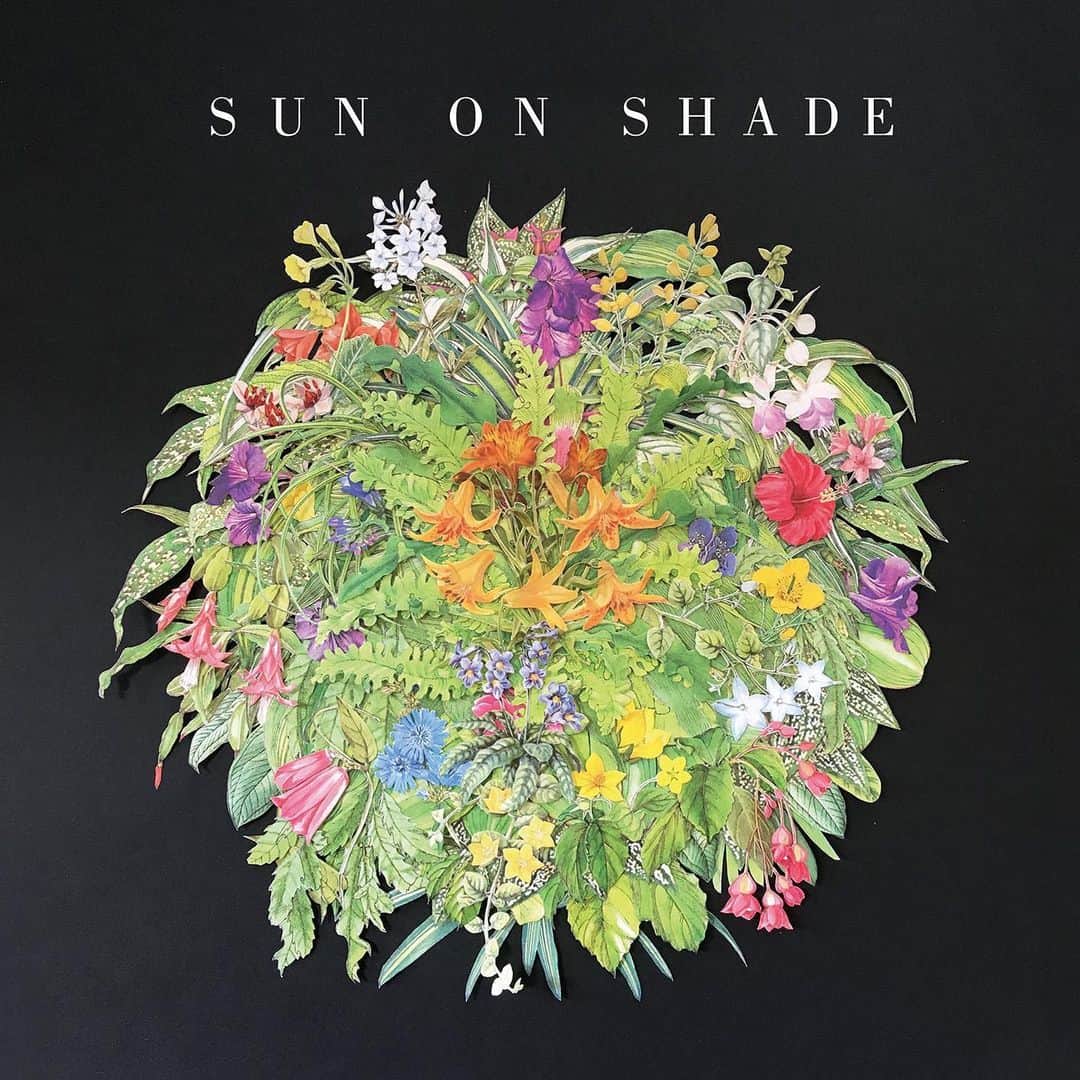 アラバマ・シェイクスさんのインスタグラム写真 - (アラバマ・シェイクスInstagram)「Heath Fogg releases @sunonshade today! Thanks to everyone who helped make this album possible! Link in bio to stream/buy.」6月27日 3時39分 - alabama_shakes
