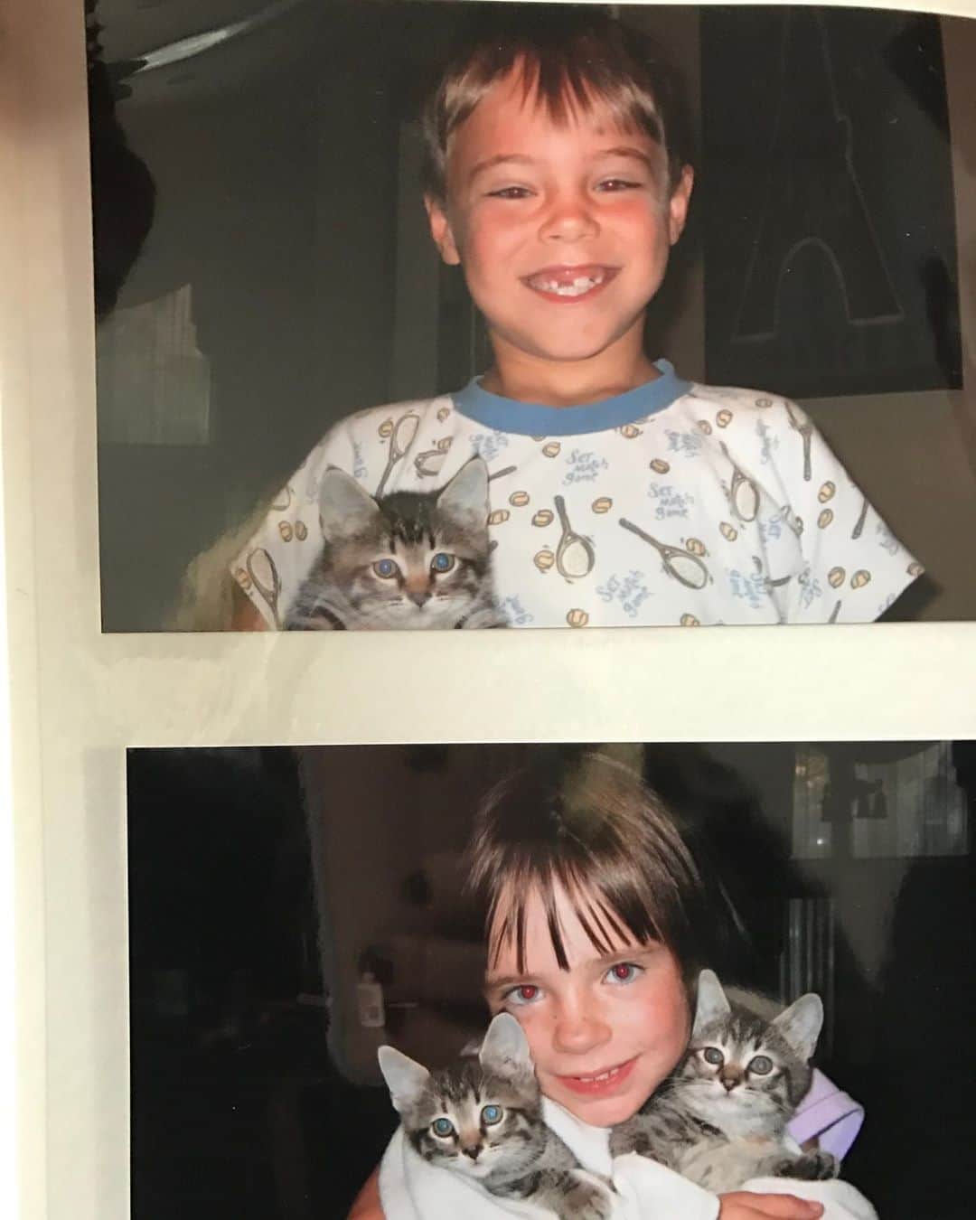 ケビン・クインさんのインスタグラム写真 - (ケビン・クインInstagram)「#FBF to when @courtneygquinn and I first got our kittens back in 2005 at 8 years old. Stripey has since moved on from this illusory world we live in, but Rosie is now 15 and still going strong! Life is beautiful.」6月27日 3時46分 - kevingquinn