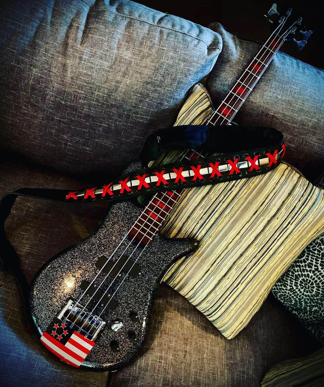 レイチェル・ボランさんのインスタグラム写真 - (レイチェル・ボランInstagram)「My killer strap from @carlinoguitars has found its home on my signature model @officialspector Rebel. #bassguitar #bassistsagainstracists #rock #follow」6月27日 4時28分 - officialrachelbolan