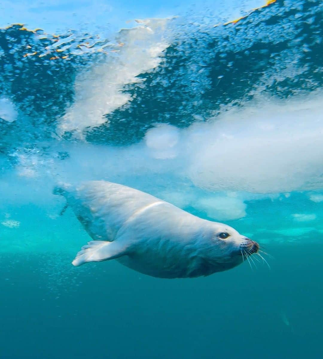 National Geographic Travelのインスタグラム