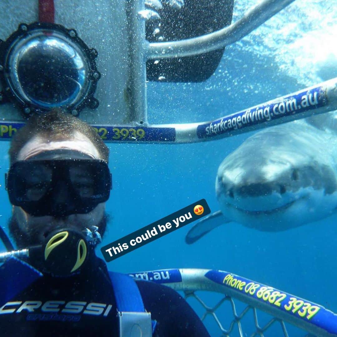 WildLifeさんのインスタグラム写真 - (WildLifeInstagram)「😍WIN A TRIP TO GO SHARK CAGE DIVING IN AUSTRALIA with @calypsostarcharters! flights and accommodation included, To WIN:  1.GO Follow: @discoversharkstours and also follow every account they are following (it only takes 20 seconds to follow all 24 accounts)  2. Like this post  3. Tag a friend (1 tag = 1 entry, enter as many times as you wish). 4. (Bonus) Share this post on your IG Story for an additional entry!  The winner will be chosen randomly ‪on July 25th 2020 & announced on @discoversharkstours account.  Please Note: This sweepstake is in no way sponsored, administered, or associated with Instagram, PayPal, TransferWise, or any Brands in the contest images. By entering, entrants confirm they are 18+ years of age, release Instagram of responsibility, and agree to Instagram's term of use. ( 📷 @calypsostarcharters ) #greatwhitesharks #greatwhiteshark #cagediving」6月27日 6時37分 - wildlifepage
