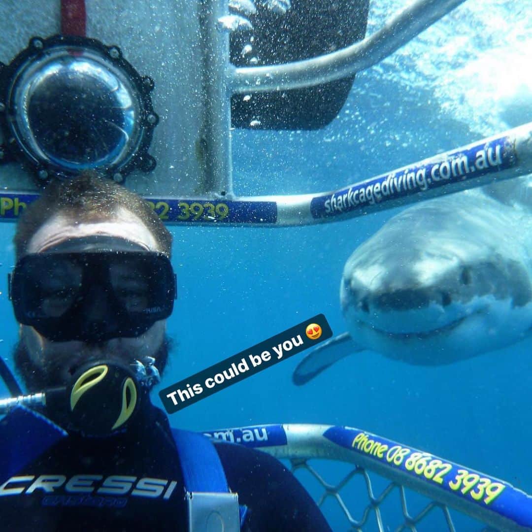 WildLifeのインスタグラム：「😍WIN A TRIP TO GO SHARK CAGE DIVING IN AUSTRALIA with @calypsostarcharters! flights and accommodation included, To WIN:  1.GO Follow: @discoversharkstours and also follow every account they are following (it only takes 20 seconds to follow all 24 accounts)  2. Like this post  3. Tag a friend (1 tag = 1 entry, enter as many times as you wish). 4. (Bonus) Share this post on your IG Story for an additional entry!  The winner will be chosen randomly ‪on July 25th 2020 & announced on @discoversharkstours account.  Please Note: This sweepstake is in no way sponsored, administered, or associated with Instagram, PayPal, TransferWise, or any Brands in the contest images. By entering, entrants confirm they are 18+ years of age, release Instagram of responsibility, and agree to Instagram's term of use. ( 📷 @calypsostarcharters ) #greatwhitesharks #greatwhiteshark #cagediving」