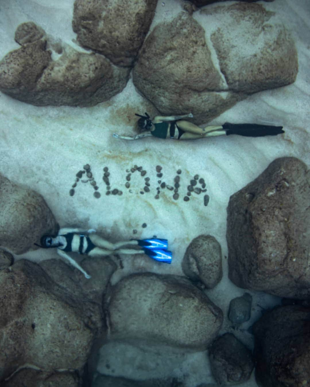 And Youさんのインスタグラム写真 - (And YouInstagram)「ALOHA. See it. Spread it. Live it. 💙. ​. ​. ​. ​. ​#aloha #alohafriday #alohaoutdoors #livepono #travelpono #hawaii #freedivephotography #underwaterphotography #hawaiistagram」6月27日 7時24分 - dolphinsandyou