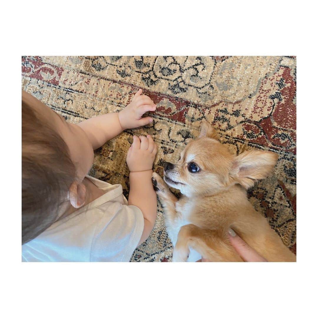 近藤千尋のインスタグラム：「いつも気付いたらお互い目を合わしてるこの二人。笑👶🐶 今日も安定の早起きの次女さん❤️ さて！引っ越しも決まったので 気合だぞー🌈❗️❗️🙋‍♀️」