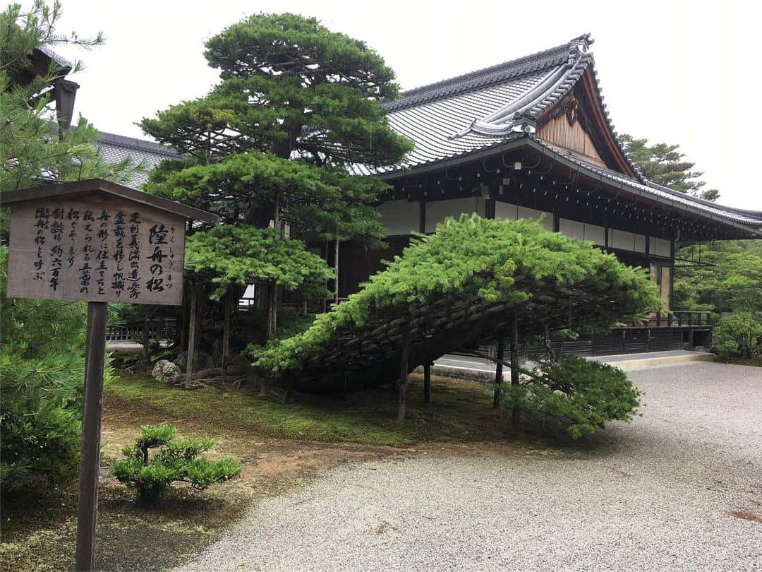 黒山健一さんのインスタグラム写真 - (黒山健一Instagram)「金閣寺❗️ コロナの影響を受けまくりで、まったく誰もいない❗️ #金閣寺 #京都」6月27日 8時20分 - kenichi_kuroyama