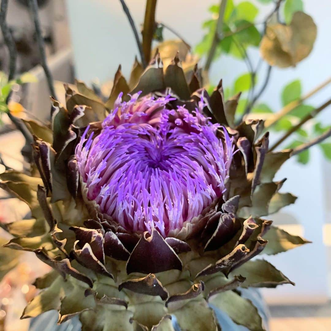 Rachien Smoothieのグルメインスタ