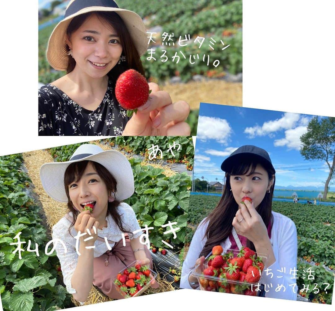 佐藤彩さんのインスタグラム写真 - (佐藤彩Instagram)「大好きないちごをたくさん食べられる幸せ🥺🍓 . . 19日から札幌と他の地域との往来が解除となったので、千歳市のいちご農園へ行きました🍓  谷藤アナ(@hbc_tnfj63 )と大堀アナ(@hbc_oohoriyui )と一緒に楽しんだいちご狩り😊🍓 . . 密にならないように気を遣いながら。 食べ放題という言葉に誘われ、食べたいちごの数は… 123個😳🍓 1.2.3フィニッシュです😂笑  子どものように、いちごに夢中でした。笑 . . こちらのいちご農園さんでは、今まではいちごを食べた後のヘタはそのまま土にかえす形だったそうですが… 今年から、持ち帰り用のパックとは別にそれぞれ紙コップが渡され、紙コップに入れたヘタは最後に回収される形になりました。 消毒液もありますし、感染対策しっかりされていましたよ。  あぁ、楽しかったなぁ😆🍓 そしてみんな可愛い！！ . 素敵な写真をたくさん撮ってくれた谷藤アナが、キャッチフレーズもつけて送ってくれた写真✨ ポスターみたい😳！！ . . 姉妹感が出ていませんか？🍓 . . . #いちご狩り #いちご #🍓 #いちご大好き #いちごに夢中 #1時間で #123個  #美味しくて #たくさん食べちゃった #いちご大食い選手権 #出られるかも  #楽しい #プチ旅 #千歳市  #札幌を出たのは4ヶ月半ぶり #前回はスノボでルスツ #季節はこんなに進みました #新しい形にチェンジ #姉妹感 #HBC #北海道放送 #アナウンサー #谷藤博美 アナ　#大堀結衣 アナ　#佐藤彩」6月27日 8時37分 - hbc_ayasato