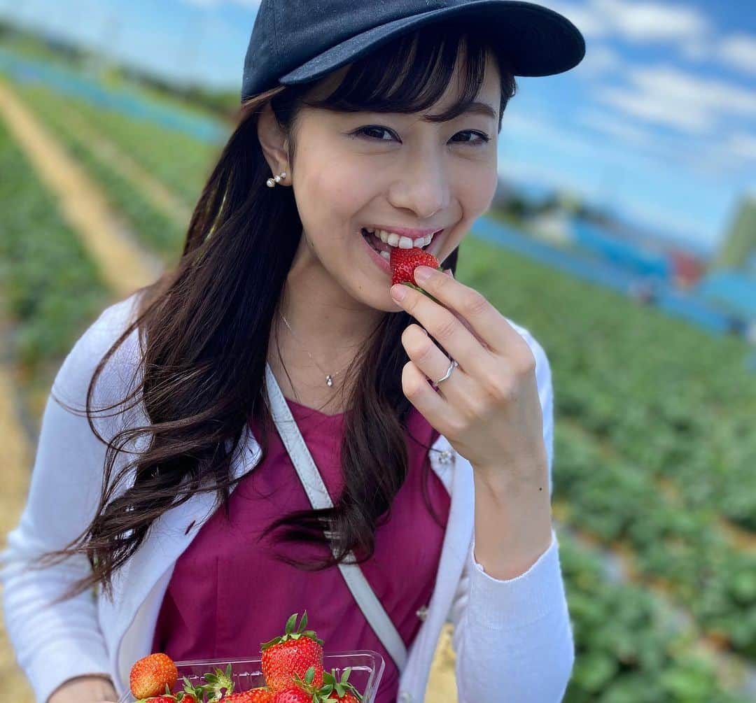 佐藤彩さんのインスタグラム写真 - (佐藤彩Instagram)「大好きないちごをたくさん食べられる幸せ🥺🍓 . . 19日から札幌と他の地域との往来が解除となったので、千歳市のいちご農園へ行きました🍓  谷藤アナ(@hbc_tnfj63 )と大堀アナ(@hbc_oohoriyui )と一緒に楽しんだいちご狩り😊🍓 . . 密にならないように気を遣いながら。 食べ放題という言葉に誘われ、食べたいちごの数は… 123個😳🍓 1.2.3フィニッシュです😂笑  子どものように、いちごに夢中でした。笑 . . こちらのいちご農園さんでは、今まではいちごを食べた後のヘタはそのまま土にかえす形だったそうですが… 今年から、持ち帰り用のパックとは別にそれぞれ紙コップが渡され、紙コップに入れたヘタは最後に回収される形になりました。 消毒液もありますし、感染対策しっかりされていましたよ。  あぁ、楽しかったなぁ😆🍓 そしてみんな可愛い！！ . 素敵な写真をたくさん撮ってくれた谷藤アナが、キャッチフレーズもつけて送ってくれた写真✨ ポスターみたい😳！！ . . 姉妹感が出ていませんか？🍓 . . . #いちご狩り #いちご #🍓 #いちご大好き #いちごに夢中 #1時間で #123個  #美味しくて #たくさん食べちゃった #いちご大食い選手権 #出られるかも  #楽しい #プチ旅 #千歳市  #札幌を出たのは4ヶ月半ぶり #前回はスノボでルスツ #季節はこんなに進みました #新しい形にチェンジ #姉妹感 #HBC #北海道放送 #アナウンサー #谷藤博美 アナ　#大堀結衣 アナ　#佐藤彩」6月27日 8時37分 - hbc_ayasato