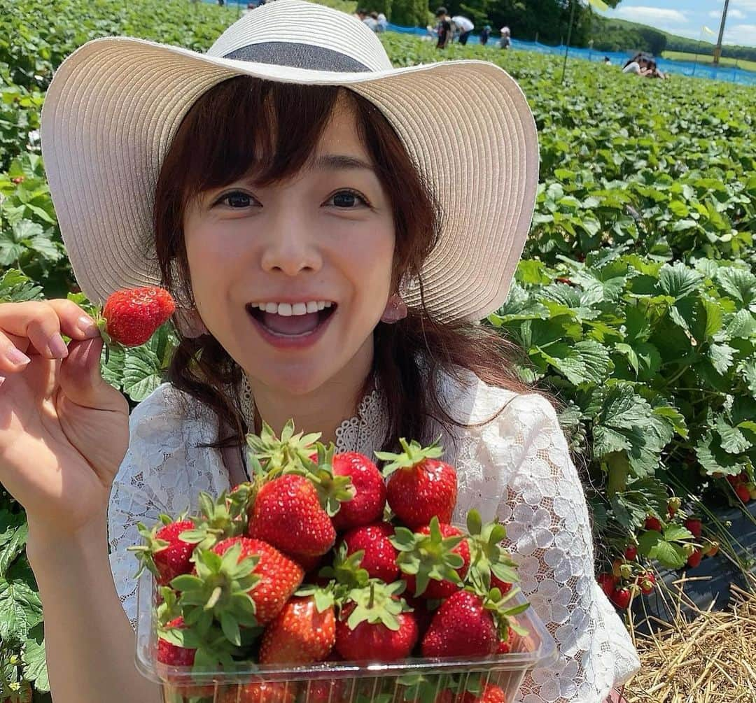 佐藤彩さんのインスタグラム写真 - (佐藤彩Instagram)「大好きないちごをたくさん食べられる幸せ🥺🍓 . . 19日から札幌と他の地域との往来が解除となったので、千歳市のいちご農園へ行きました🍓  谷藤アナ(@hbc_tnfj63 )と大堀アナ(@hbc_oohoriyui )と一緒に楽しんだいちご狩り😊🍓 . . 密にならないように気を遣いながら。 食べ放題という言葉に誘われ、食べたいちごの数は… 123個😳🍓 1.2.3フィニッシュです😂笑  子どものように、いちごに夢中でした。笑 . . こちらのいちご農園さんでは、今まではいちごを食べた後のヘタはそのまま土にかえす形だったそうですが… 今年から、持ち帰り用のパックとは別にそれぞれ紙コップが渡され、紙コップに入れたヘタは最後に回収される形になりました。 消毒液もありますし、感染対策しっかりされていましたよ。  あぁ、楽しかったなぁ😆🍓 そしてみんな可愛い！！ . 素敵な写真をたくさん撮ってくれた谷藤アナが、キャッチフレーズもつけて送ってくれた写真✨ ポスターみたい😳！！ . . 姉妹感が出ていませんか？🍓 . . . #いちご狩り #いちご #🍓 #いちご大好き #いちごに夢中 #1時間で #123個  #美味しくて #たくさん食べちゃった #いちご大食い選手権 #出られるかも  #楽しい #プチ旅 #千歳市  #札幌を出たのは4ヶ月半ぶり #前回はスノボでルスツ #季節はこんなに進みました #新しい形にチェンジ #姉妹感 #HBC #北海道放送 #アナウンサー #谷藤博美 アナ　#大堀結衣 アナ　#佐藤彩」6月27日 8時37分 - hbc_ayasato