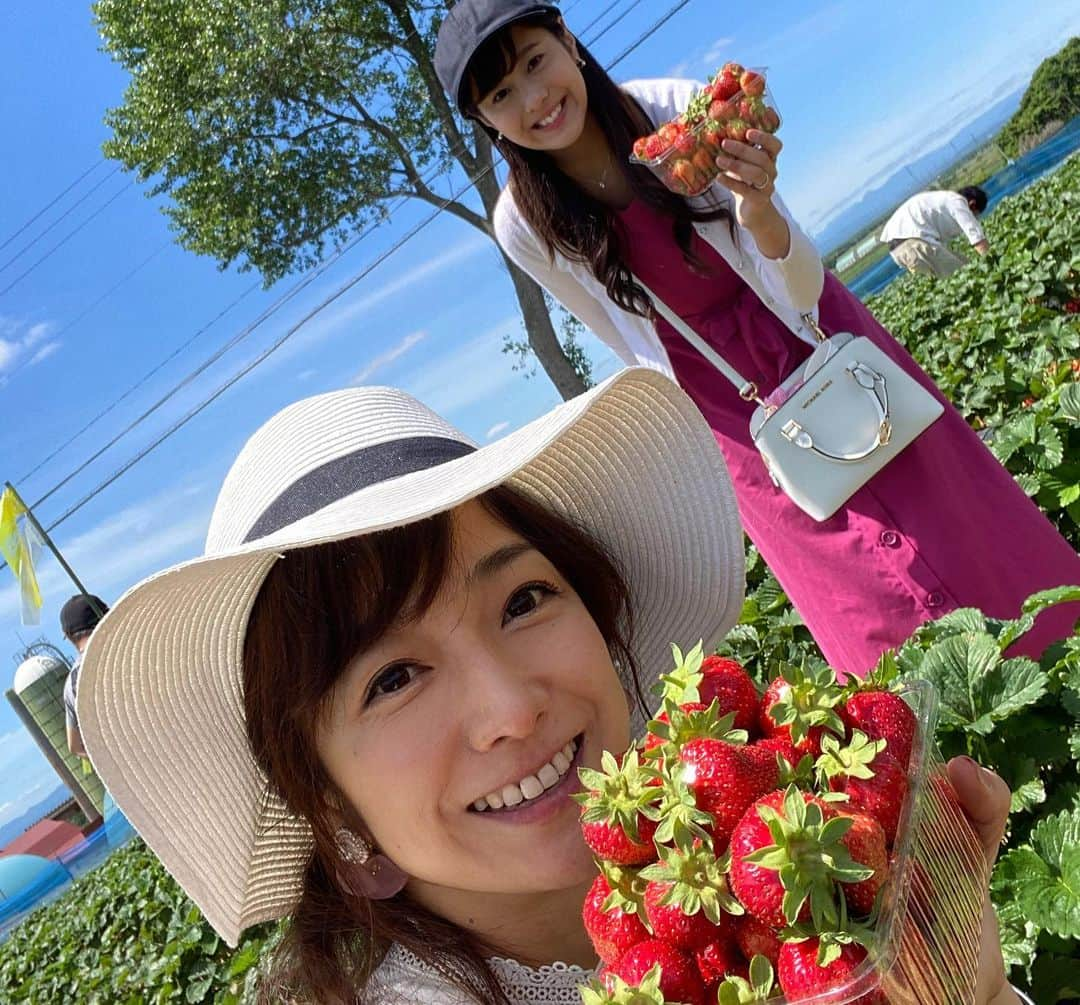 佐藤彩さんのインスタグラム写真 - (佐藤彩Instagram)「大好きないちごをたくさん食べられる幸せ🥺🍓 . . 19日から札幌と他の地域との往来が解除となったので、千歳市のいちご農園へ行きました🍓  谷藤アナ(@hbc_tnfj63 )と大堀アナ(@hbc_oohoriyui )と一緒に楽しんだいちご狩り😊🍓 . . 密にならないように気を遣いながら。 食べ放題という言葉に誘われ、食べたいちごの数は… 123個😳🍓 1.2.3フィニッシュです😂笑  子どものように、いちごに夢中でした。笑 . . こちらのいちご農園さんでは、今まではいちごを食べた後のヘタはそのまま土にかえす形だったそうですが… 今年から、持ち帰り用のパックとは別にそれぞれ紙コップが渡され、紙コップに入れたヘタは最後に回収される形になりました。 消毒液もありますし、感染対策しっかりされていましたよ。  あぁ、楽しかったなぁ😆🍓 そしてみんな可愛い！！ . 素敵な写真をたくさん撮ってくれた谷藤アナが、キャッチフレーズもつけて送ってくれた写真✨ ポスターみたい😳！！ . . 姉妹感が出ていませんか？🍓 . . . #いちご狩り #いちご #🍓 #いちご大好き #いちごに夢中 #1時間で #123個  #美味しくて #たくさん食べちゃった #いちご大食い選手権 #出られるかも  #楽しい #プチ旅 #千歳市  #札幌を出たのは4ヶ月半ぶり #前回はスノボでルスツ #季節はこんなに進みました #新しい形にチェンジ #姉妹感 #HBC #北海道放送 #アナウンサー #谷藤博美 アナ　#大堀結衣 アナ　#佐藤彩」6月27日 8時37分 - hbc_ayasato