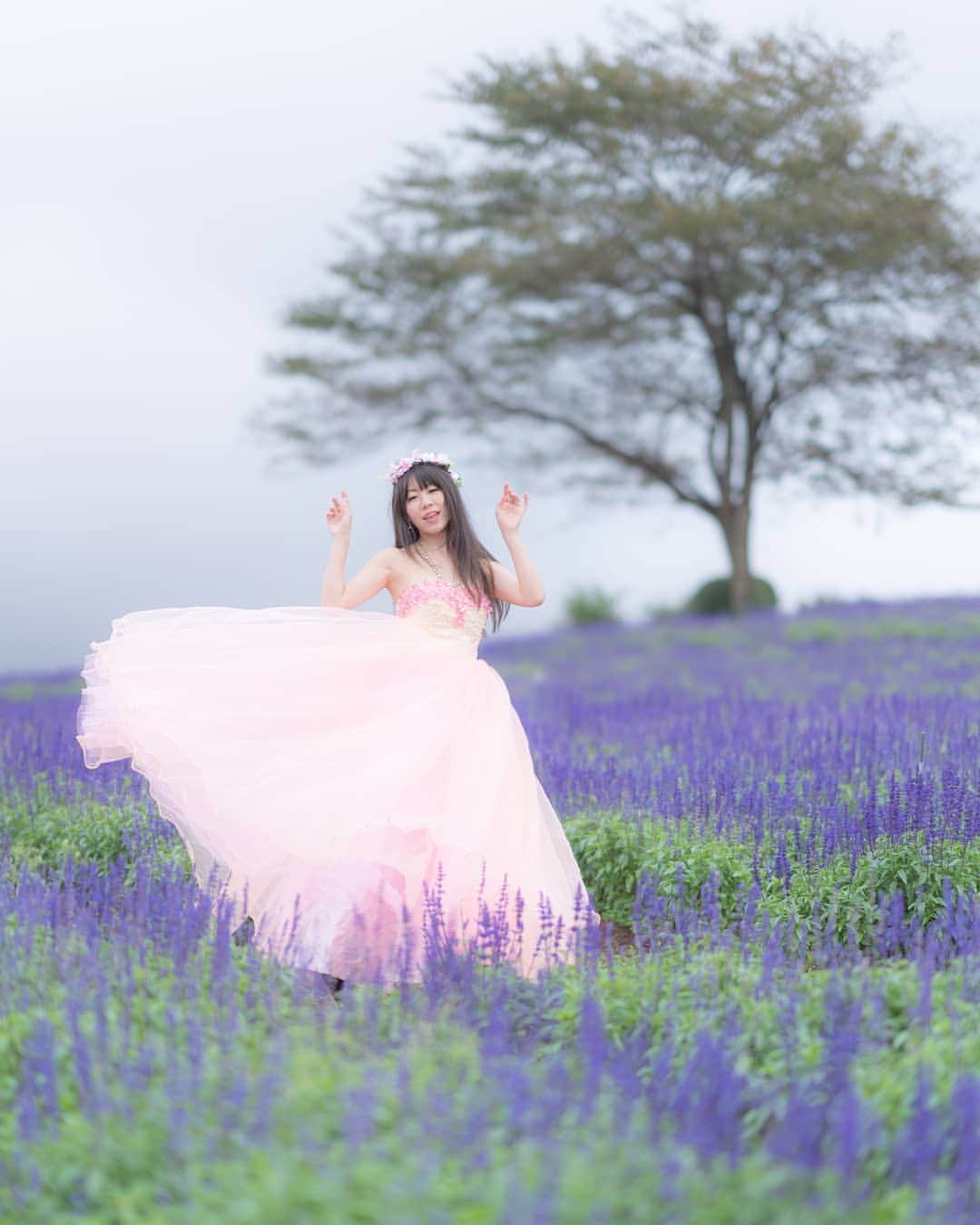 高橋さくらのインスタグラム：「* * あの日みた、思い出の花 * *  は、ラベンダーではありません  と、ごぉさんにいいたい  #ラベンダー #紫 #ピンク #花畑 #ドレス #ウェディング #夏 #秋 #カメラマン #モデル #撮影 #作品撮り #ポートレート #splus_cameraclub  #かずさん写真部」