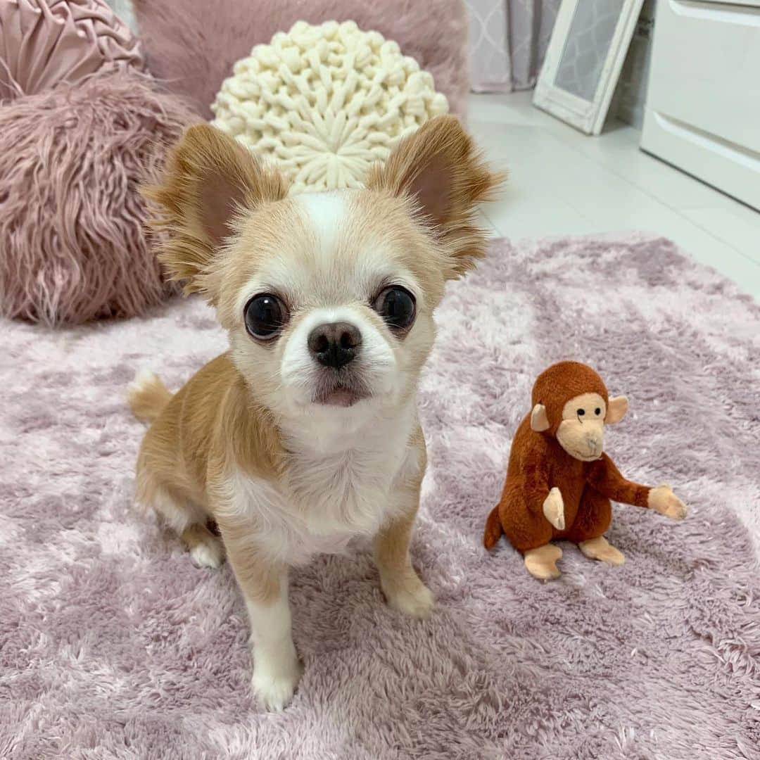 吉川ちかのインスタグラム