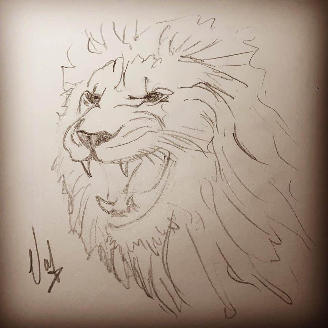 バレリー・イネルシさんのインスタグラム写真 - (バレリー・イネルシInstagram)「Drawing is leading my inspirations. #drawings #lions #loveanimal #animallovers」6月27日 19時55分 - valerie_inertie