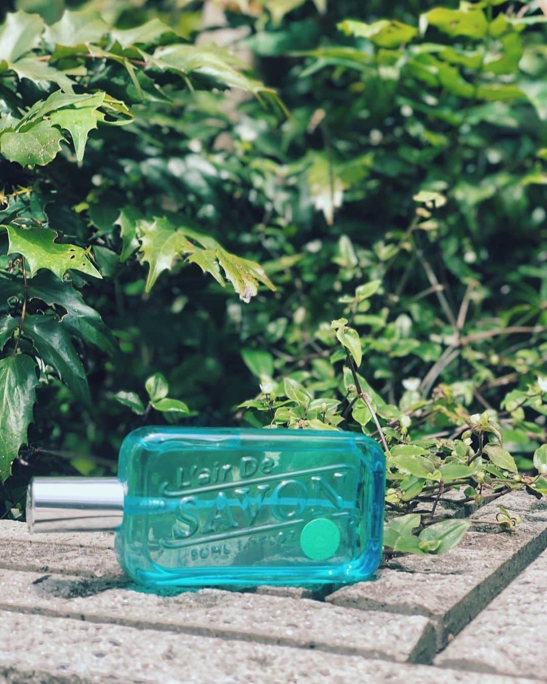 吉川ひなのさんのインスタグラム写真 - (吉川ひなのInstagram)「鉄板なせっけんの香りって清潔感を感じてどんなシーンにも似合うし、この清々しいボトルは見ているだけで気持ちがいい、なんてかわいいアイテム😊 ロフトさんでどどーんと展開されているみたいだよ❤️ #レールデュサボン #lairdesavon  #せっけんの香り #PR」6月27日 20時04分 - hinanoyoshikawa