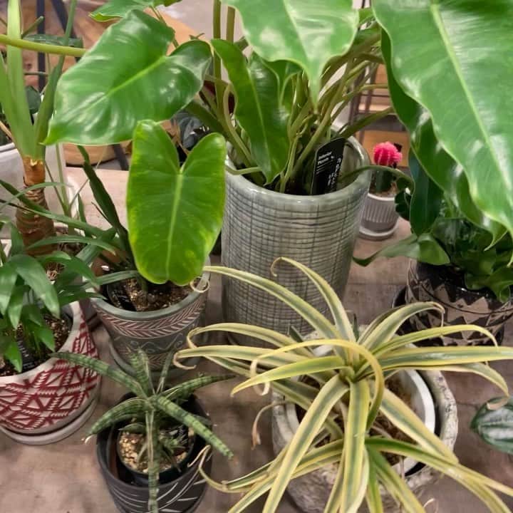 ニコアンドのグルメインスタ