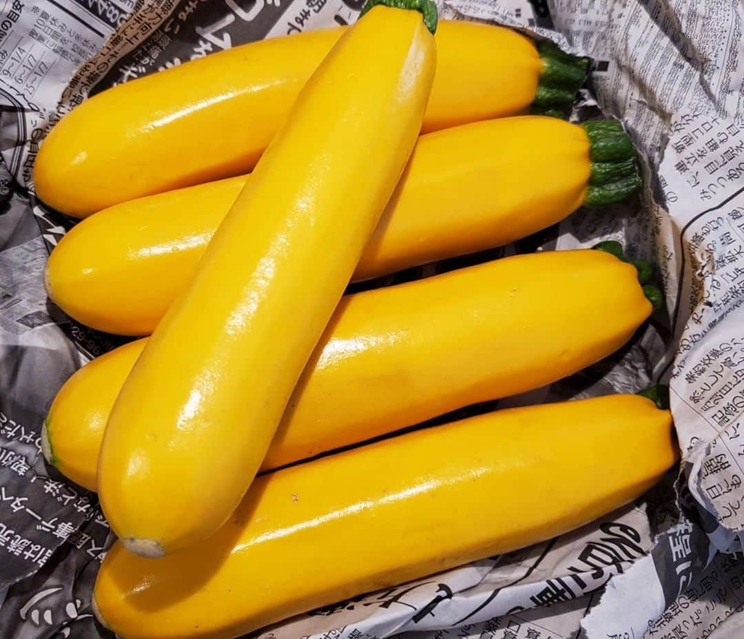 慶元まさ美のグルメインスタ